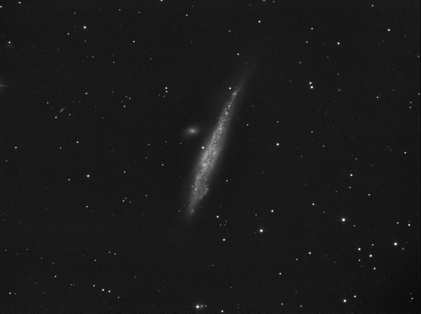 Whale galaxy.jpg