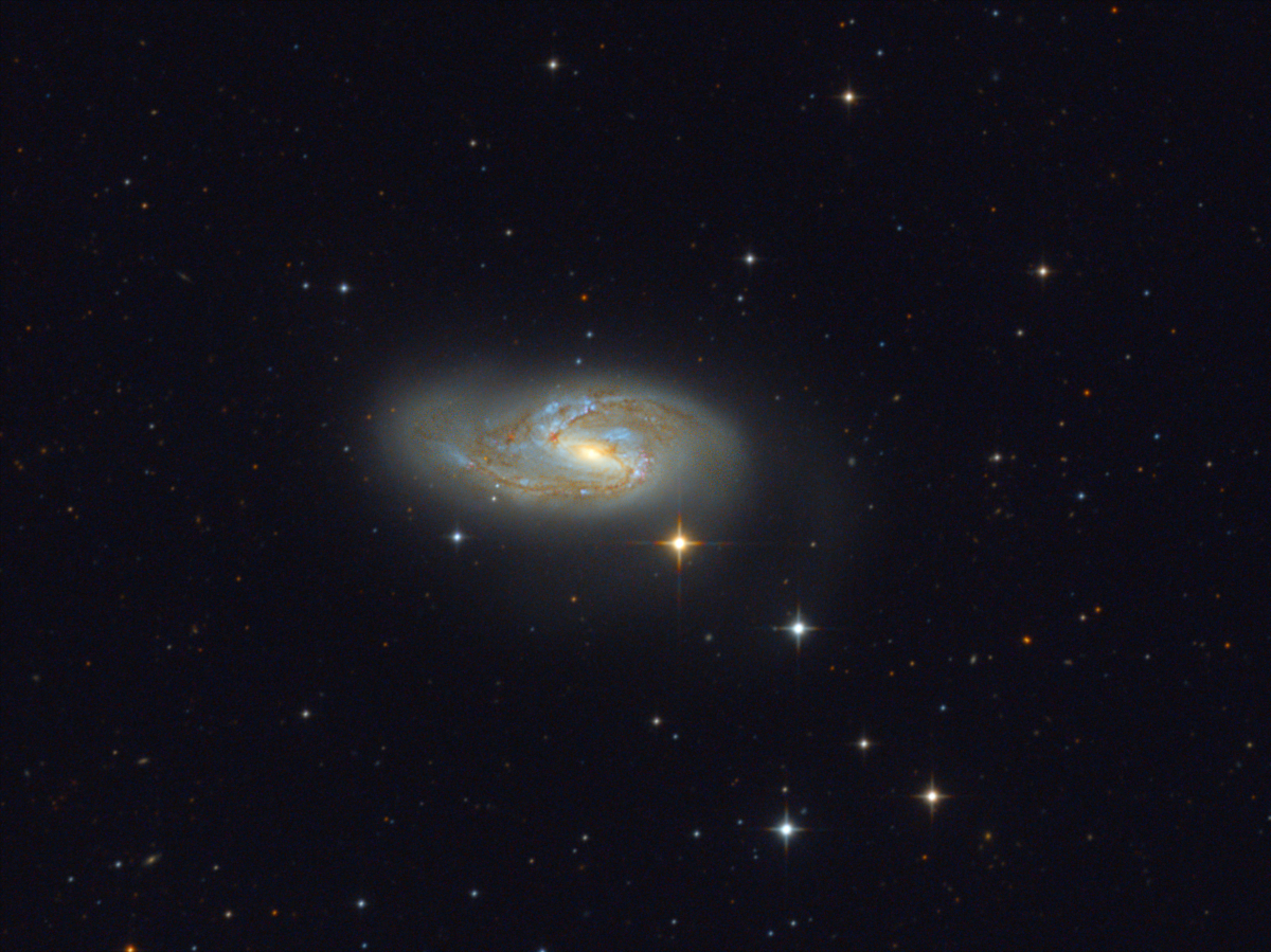 M66.jpg