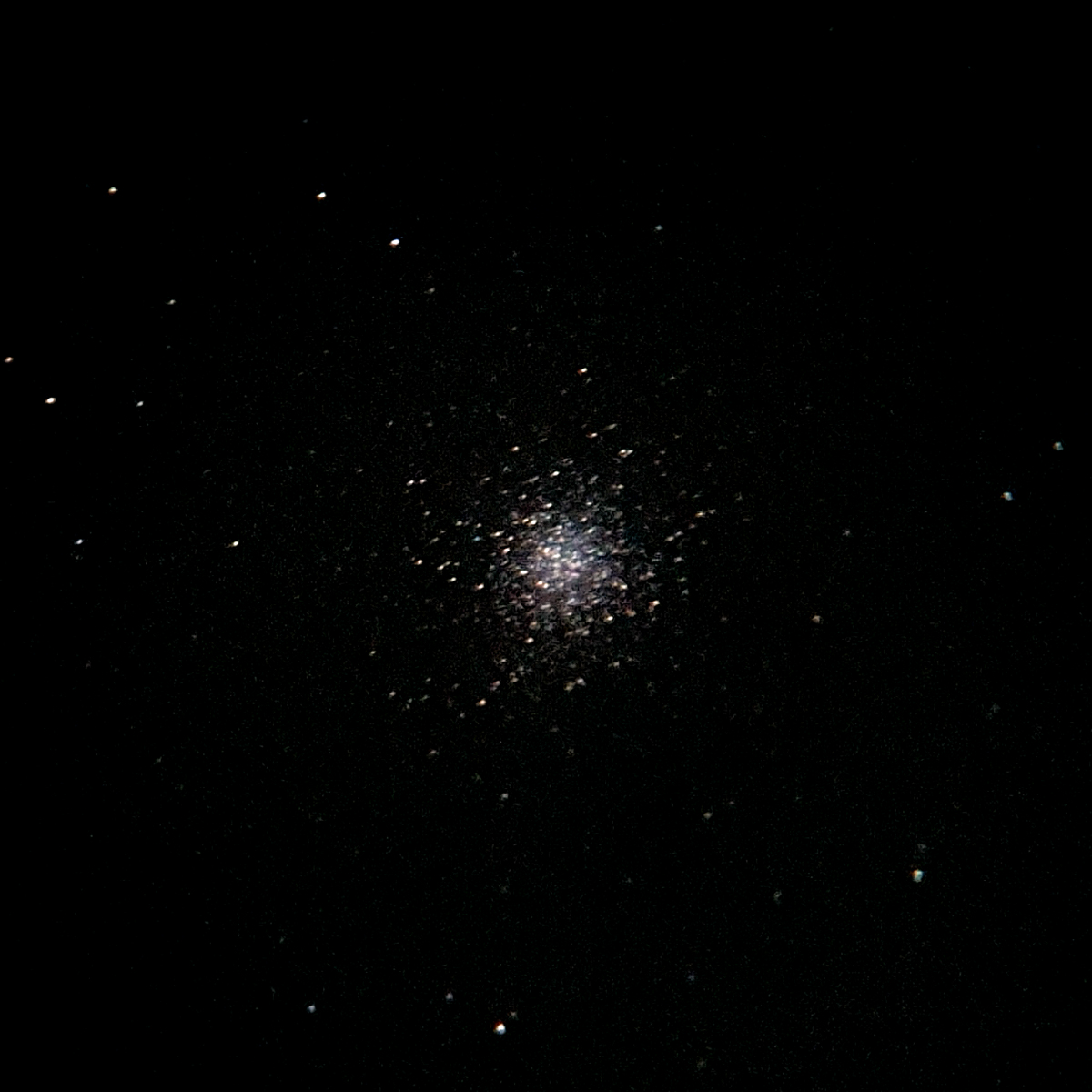 M13.jpg