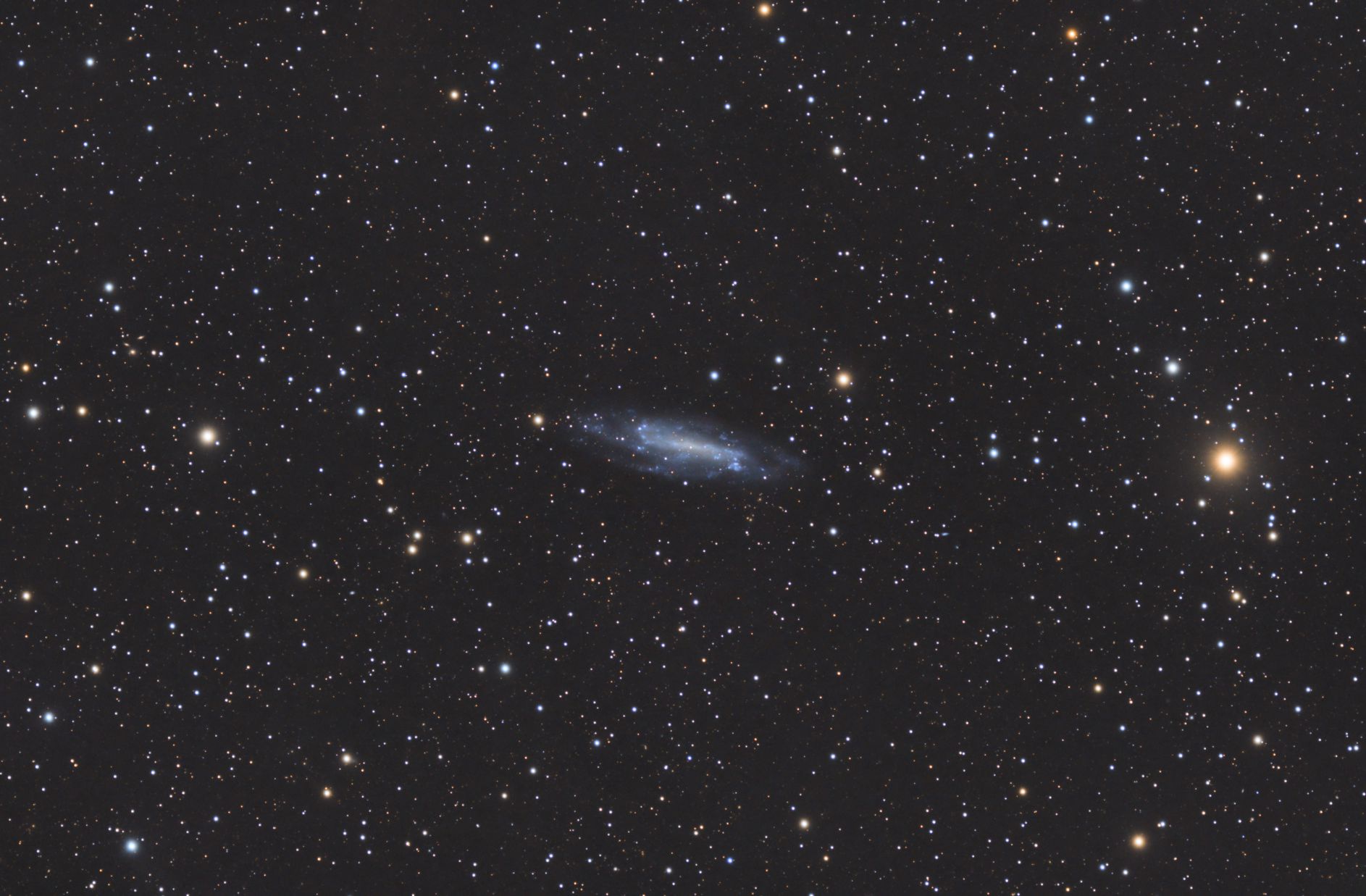 NGC4236.jpg