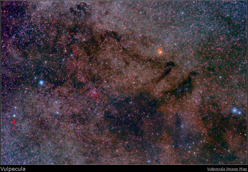 Vulpecula.jpg