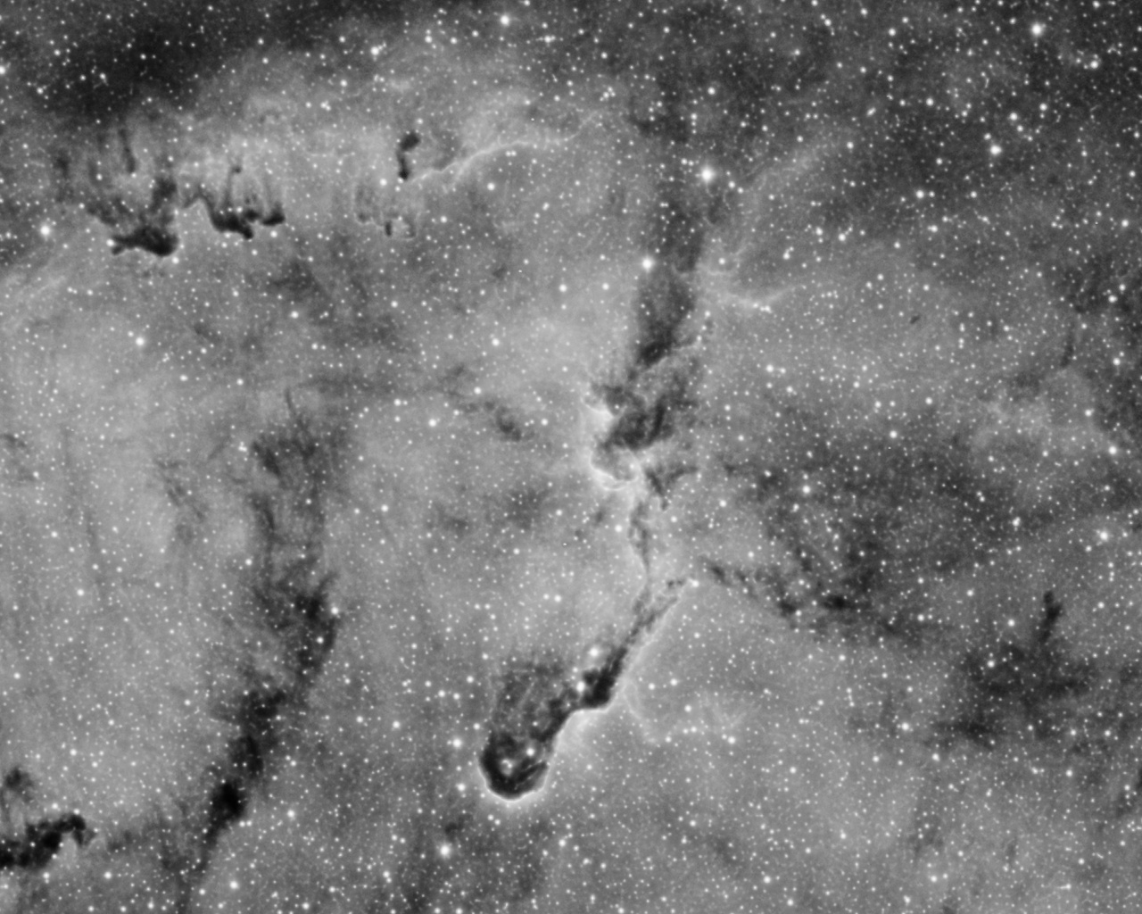 IC1396_drz_crop.jpg