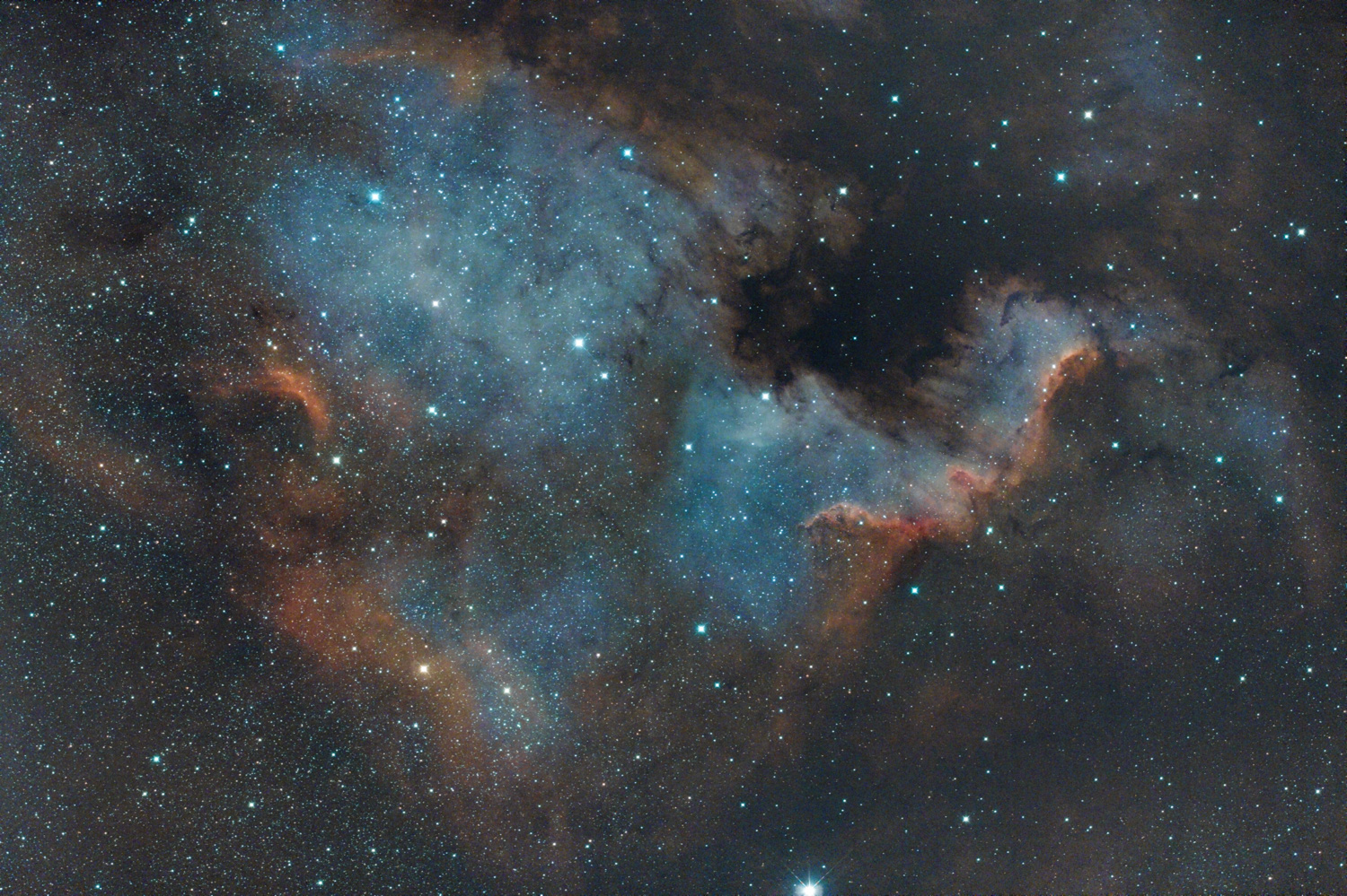 NGC7000_bicolor.jpg
