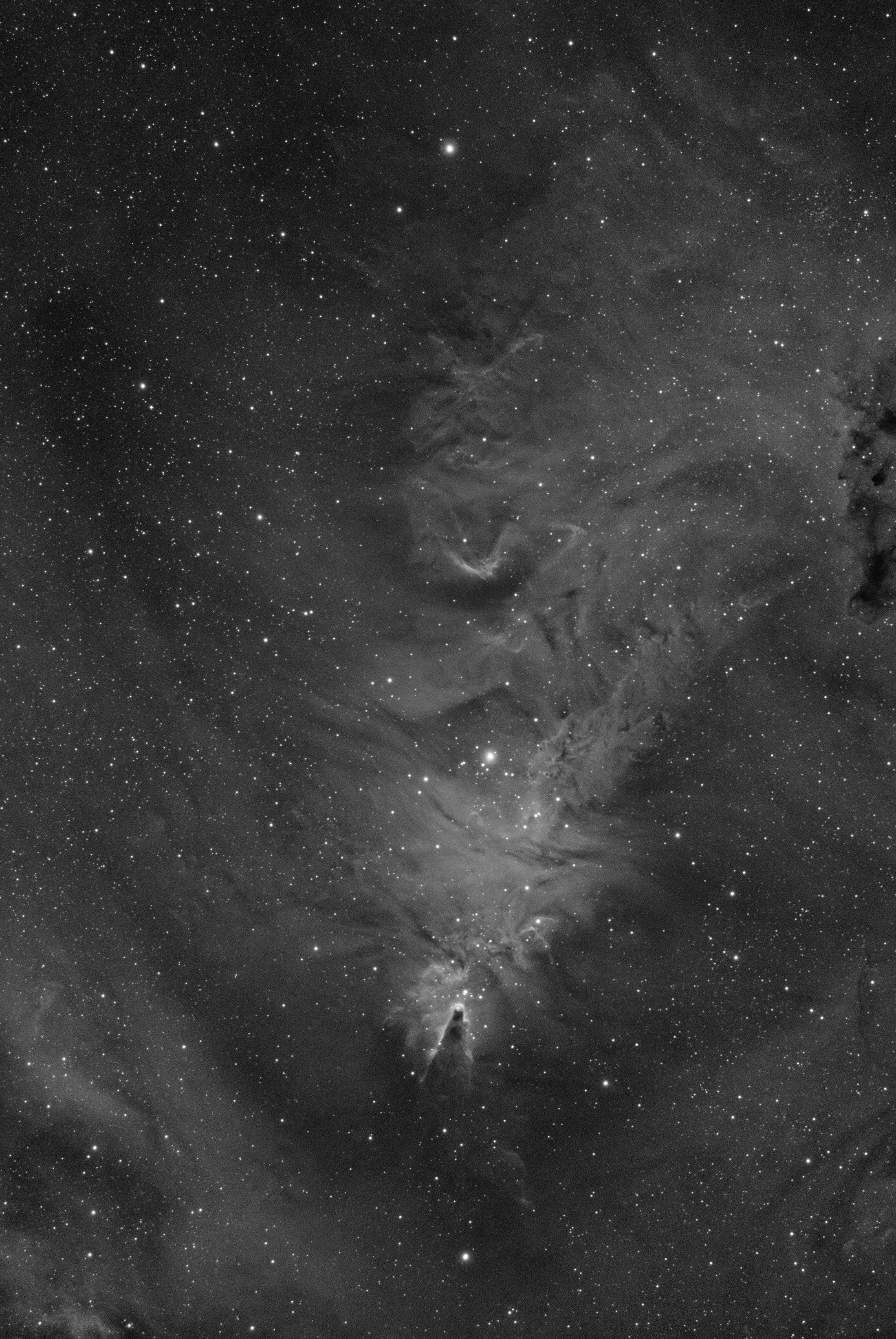 NGC2264A.jpg
