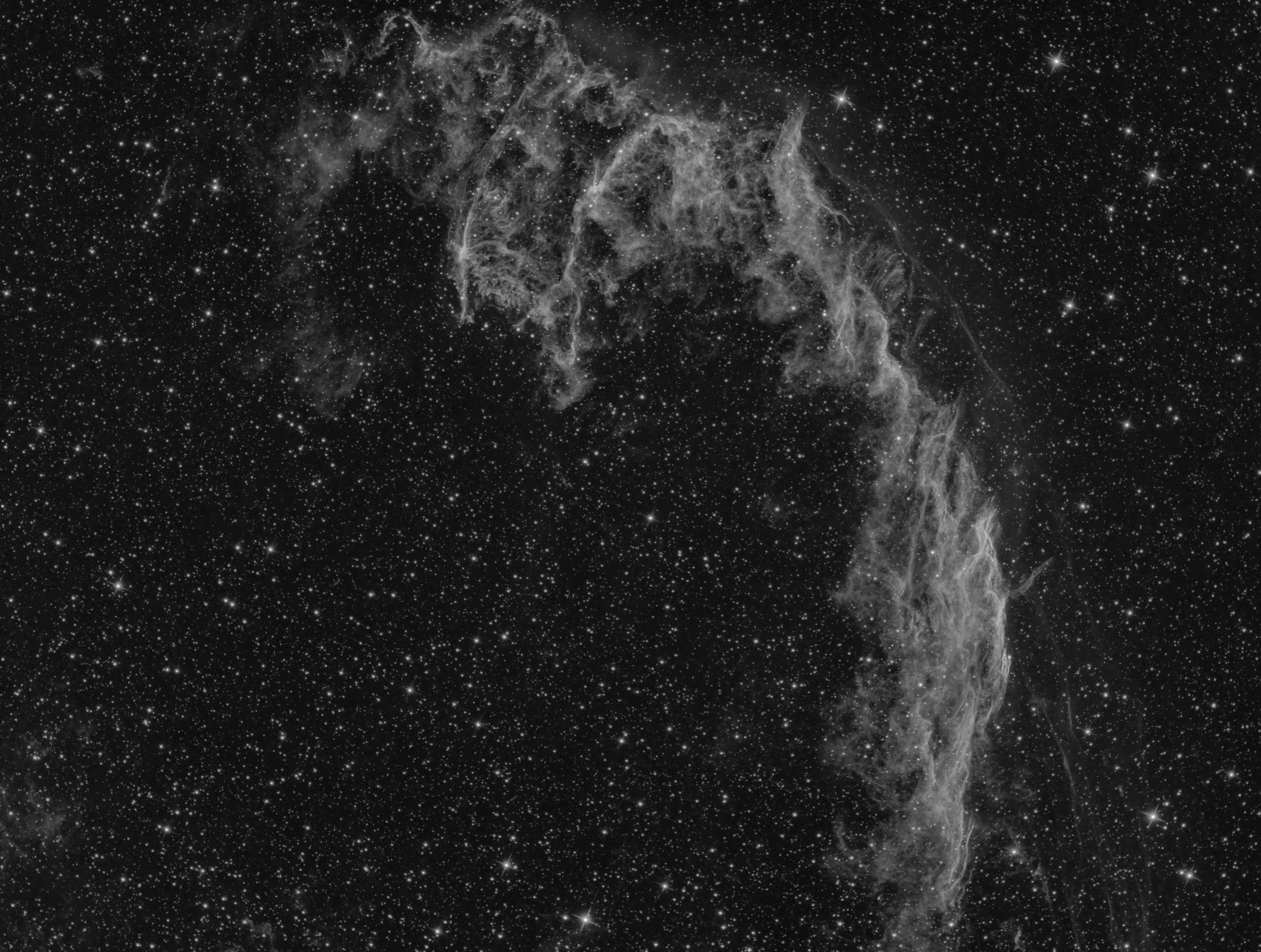 NGC 6995_Ha_sm (2).jpg