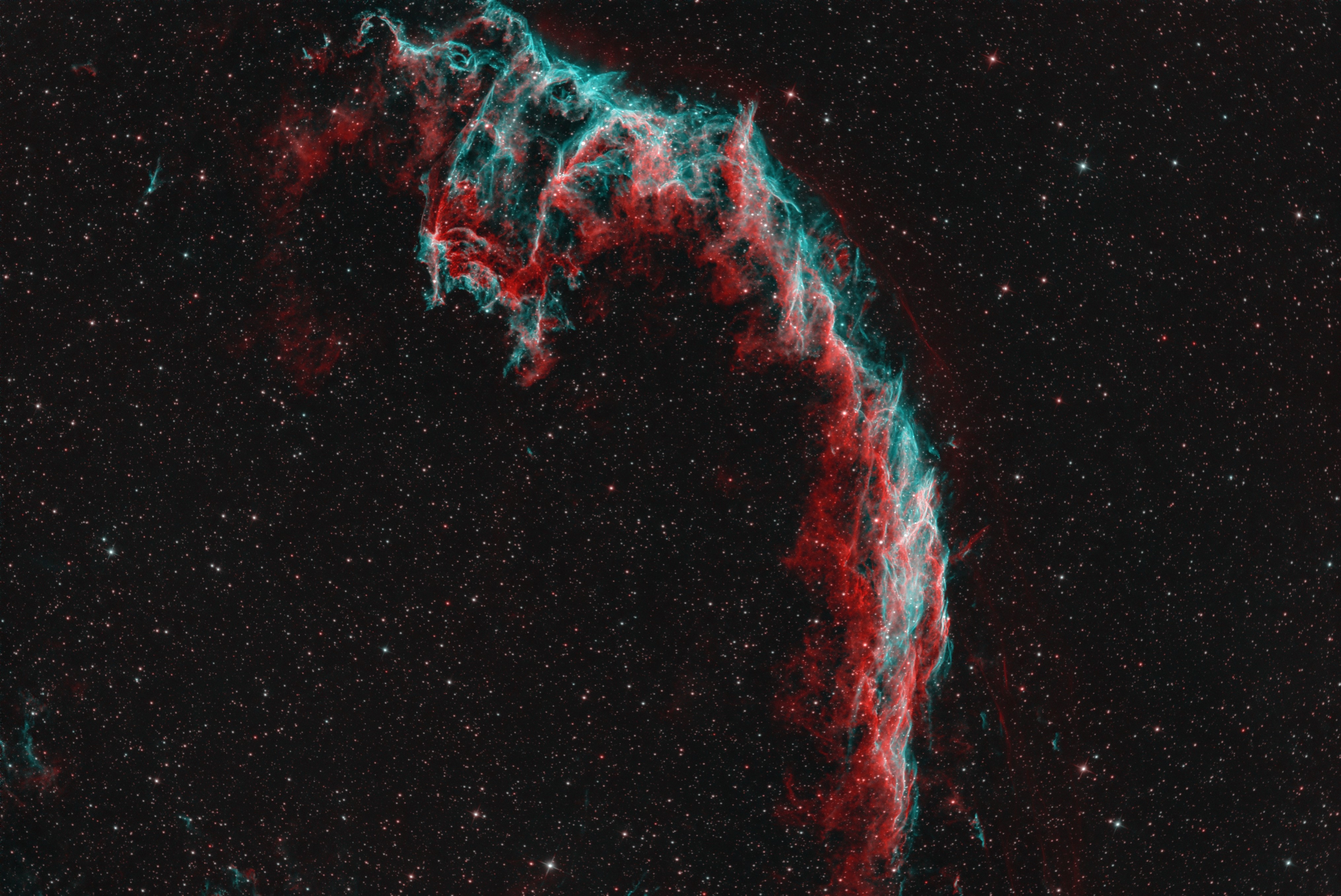 NGC 6995_Bicolor_1_sm.jpg