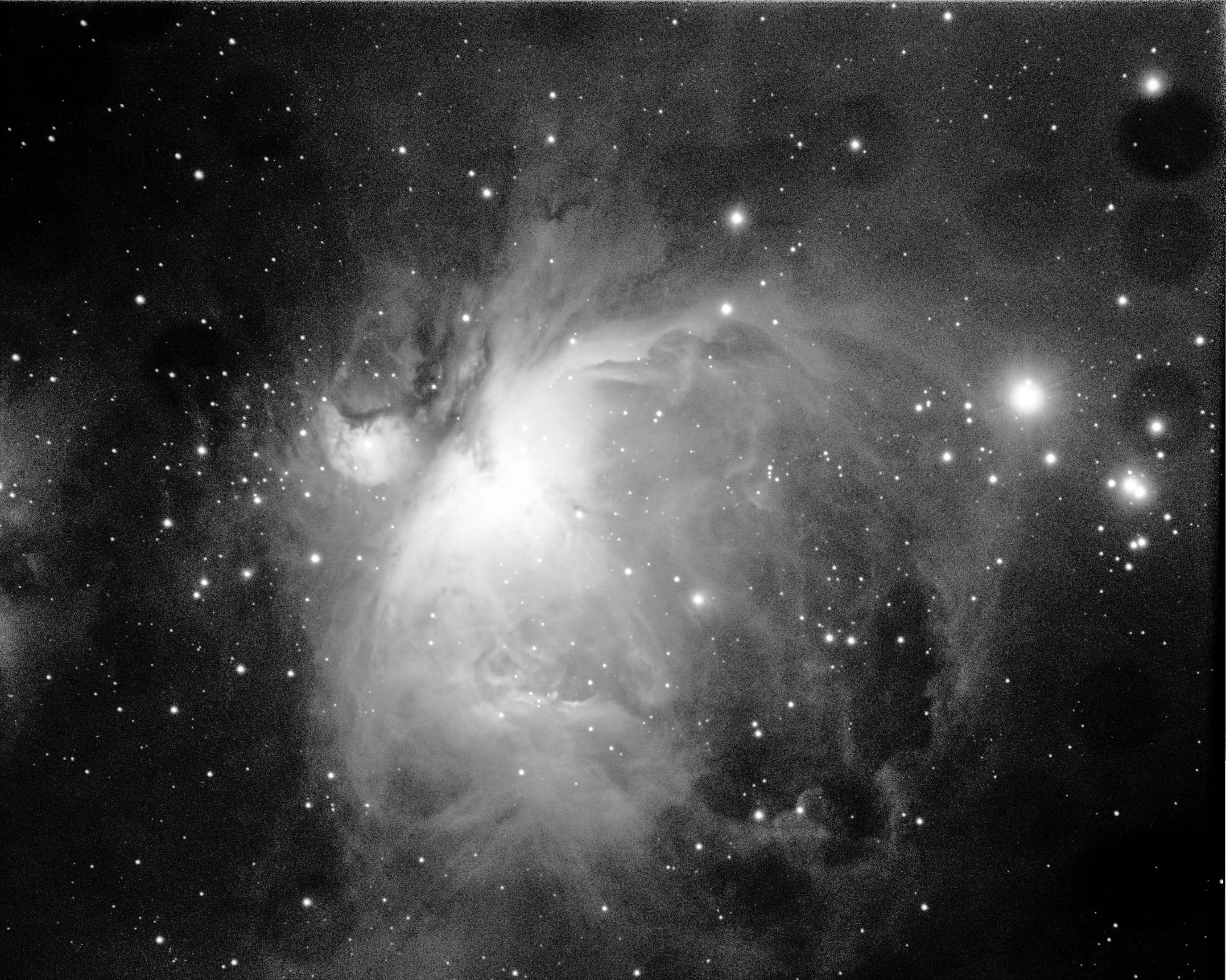 m42kolecka.JPG