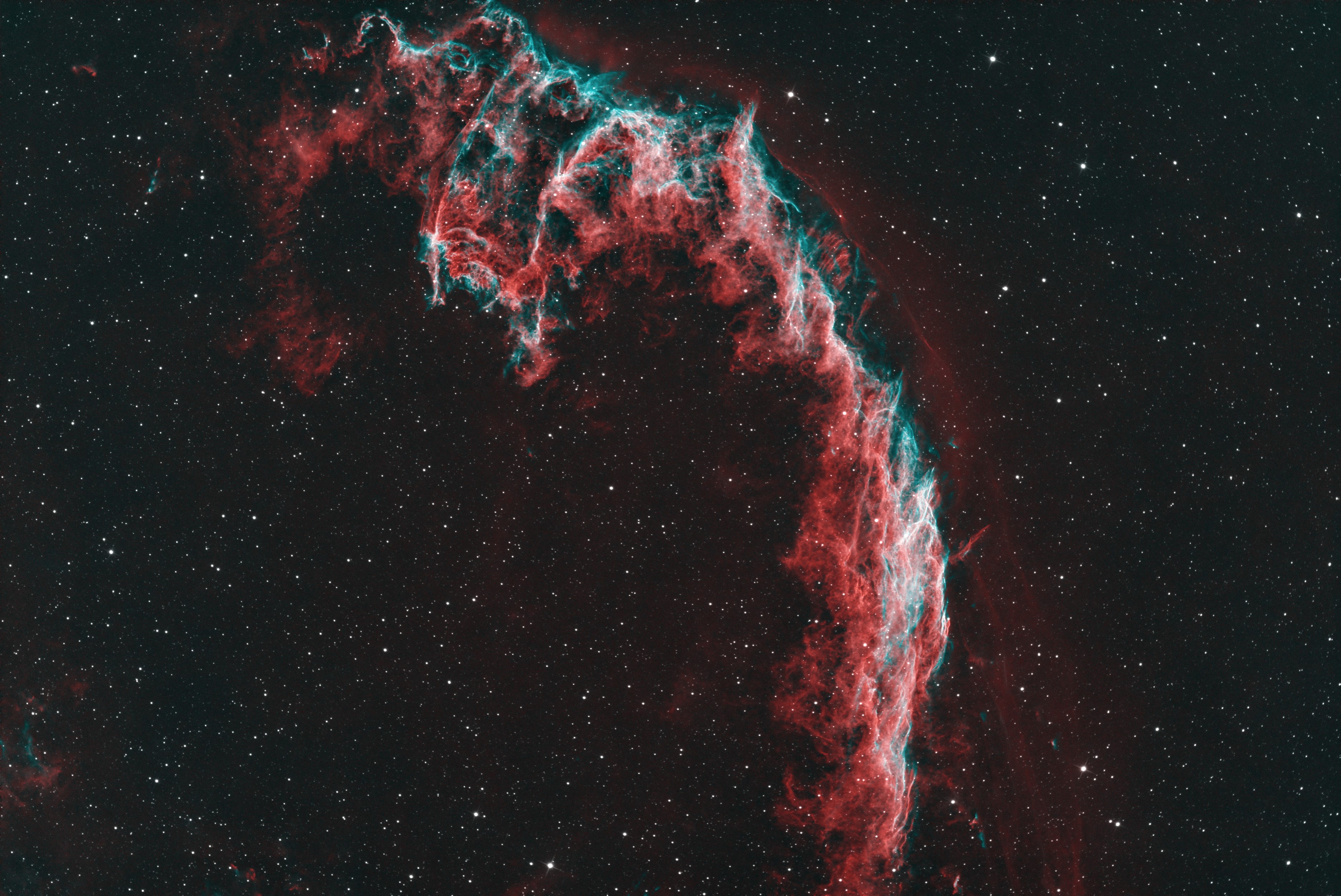 NGC 6995_Bicolor_NEW_1_sm.jpg