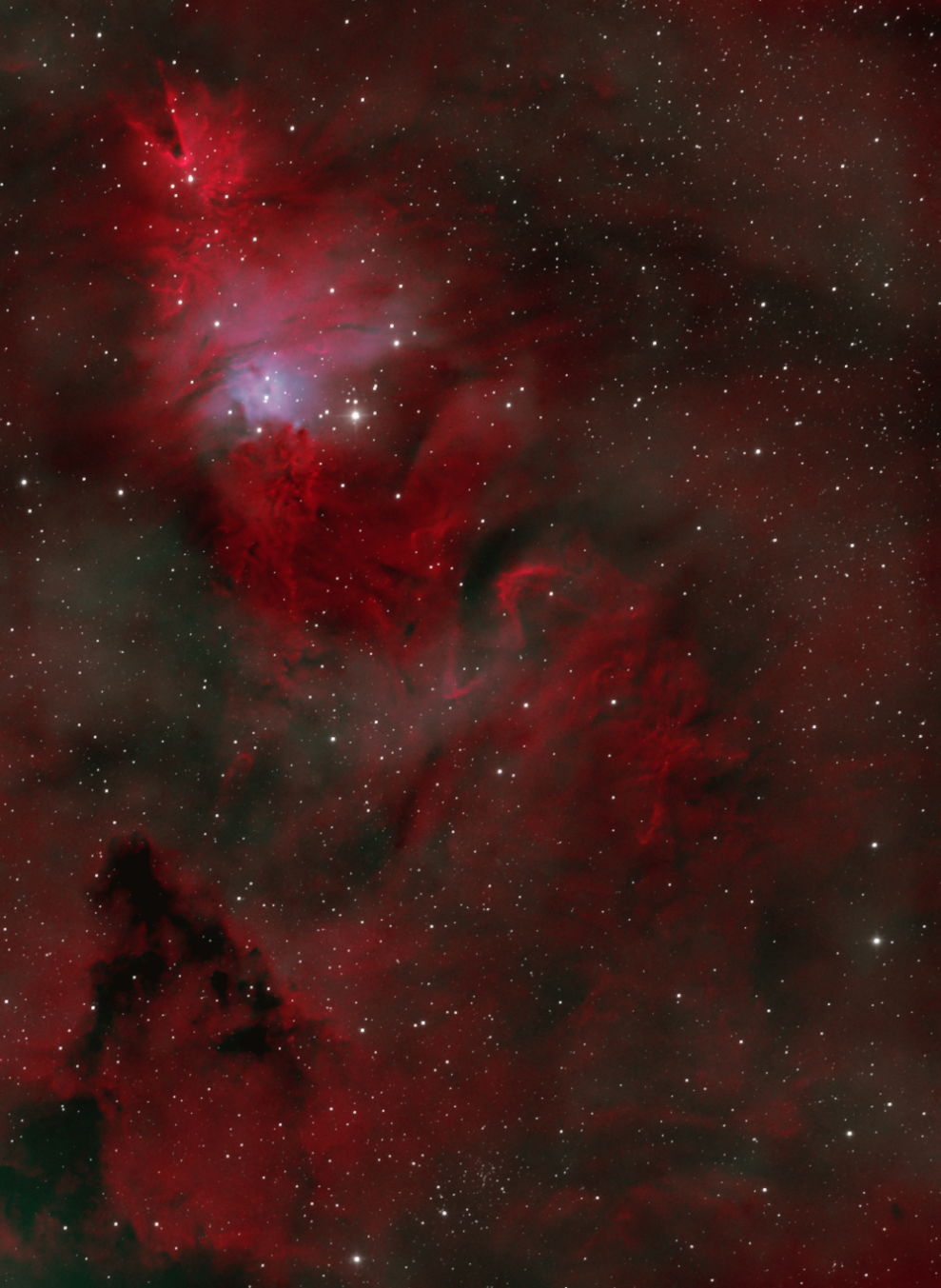 NGC 2264_Cone nebula_Christmas cluster_Bicolor_SW Evoguide_V3_sm_rot.png