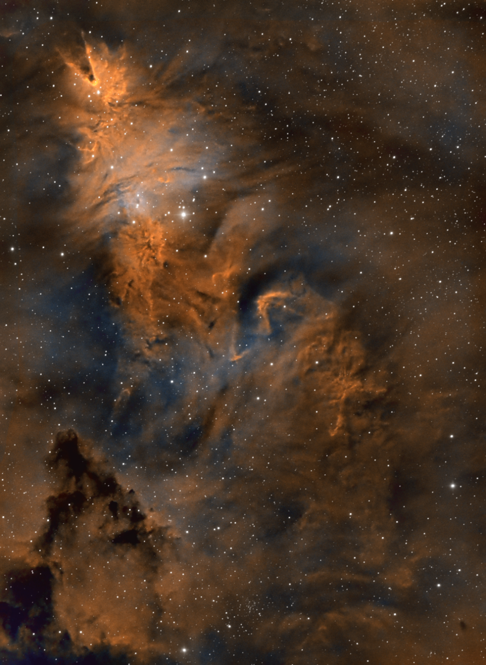 NGC 2264_Cone nebula_Christmas cluster_SHO_SW Evoguide_v2_sm_rot.png