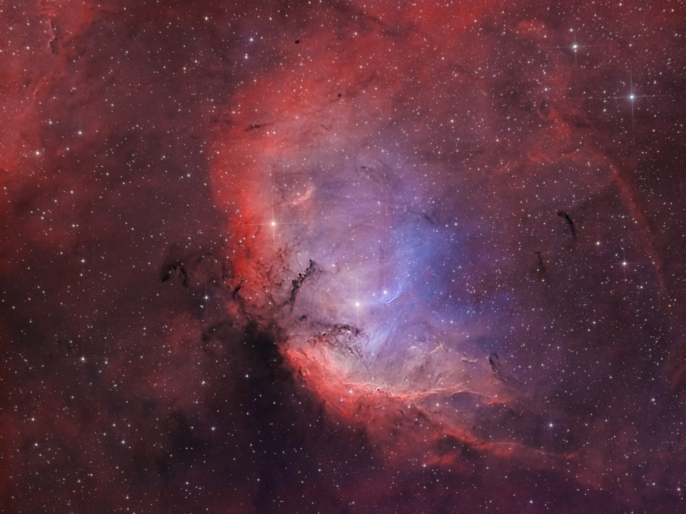 SH2_101_Tulip nebula_Bicolor_NEW_V5.png
