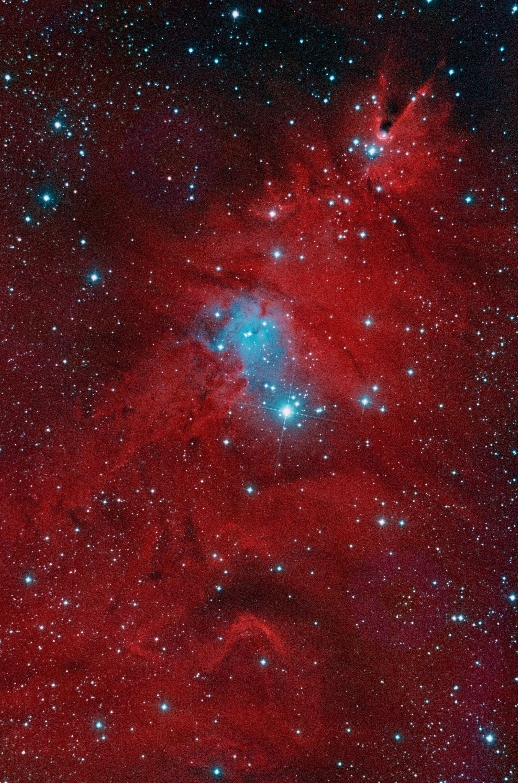 NGC2264-HaBG5.jpg