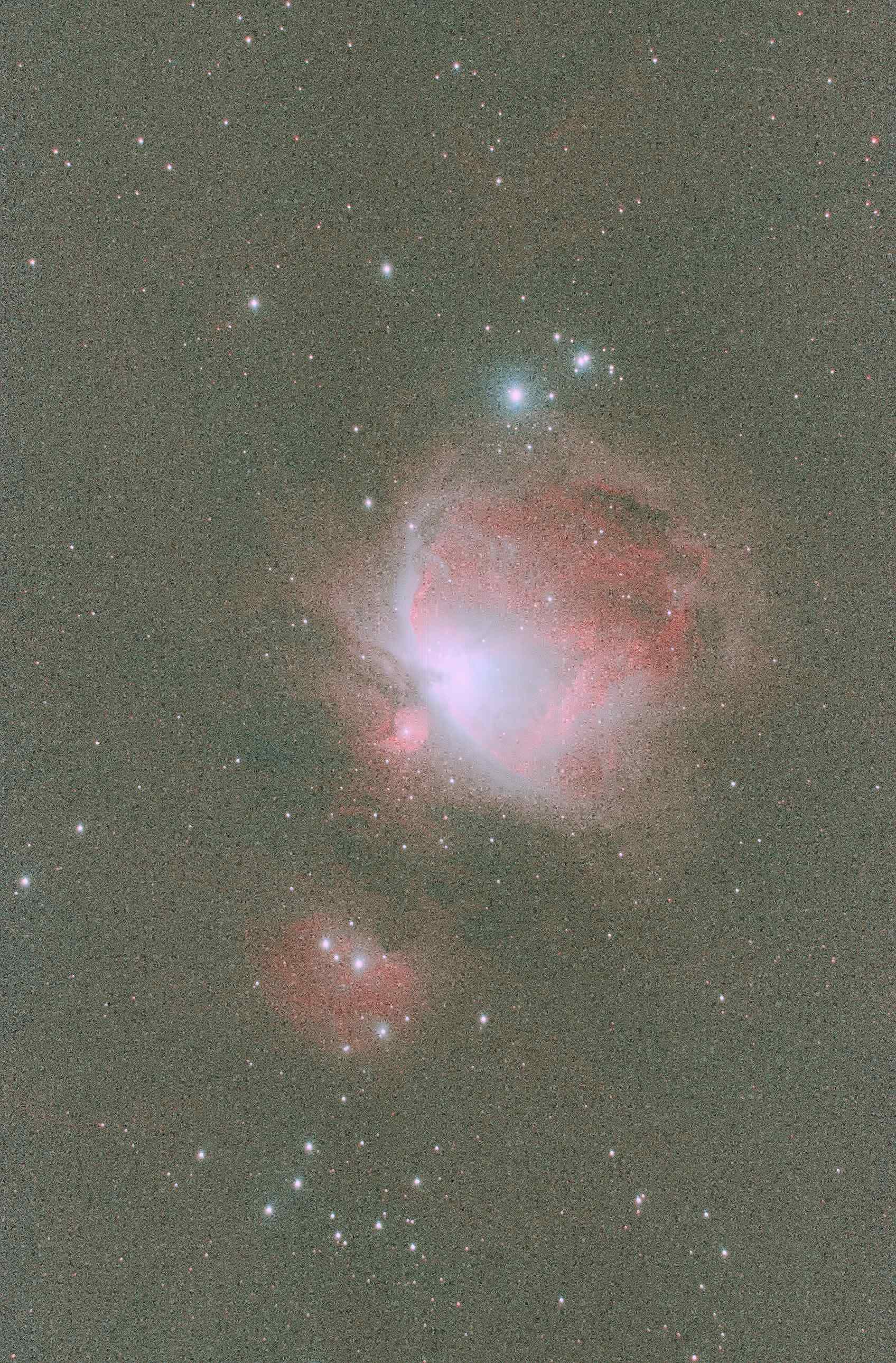 M42_Bicolor.jpg