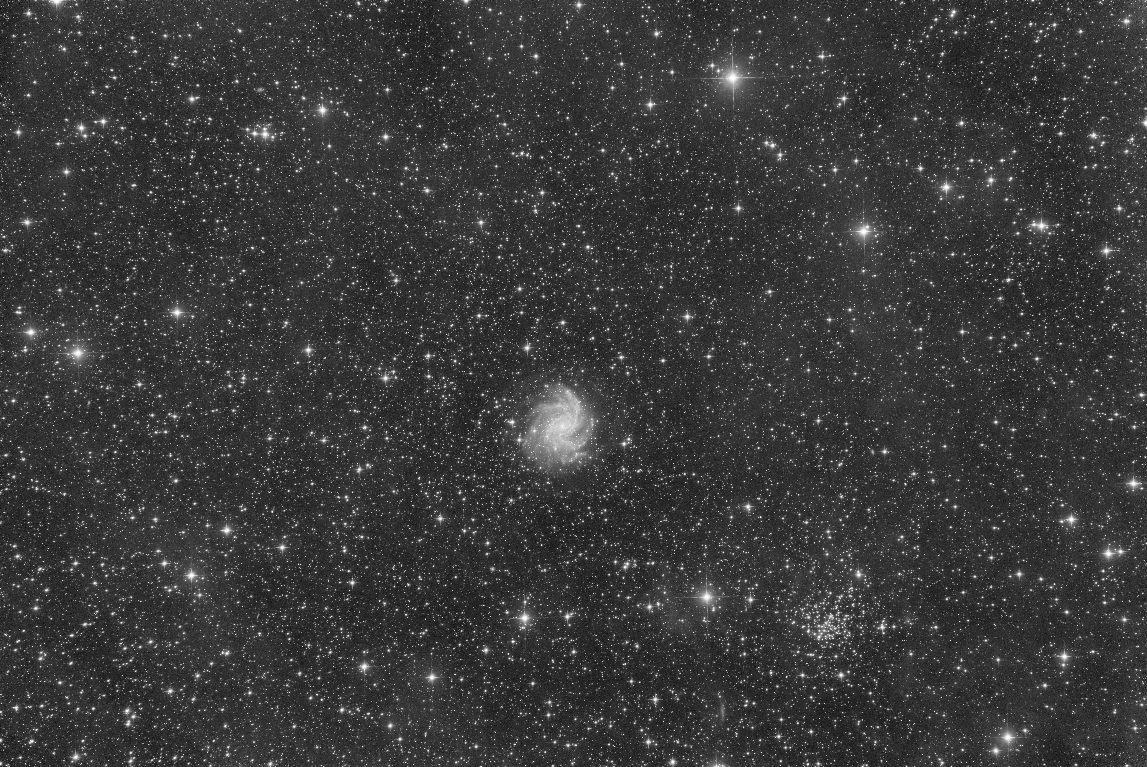 NGC 6946 - Luminance_sm.jpg