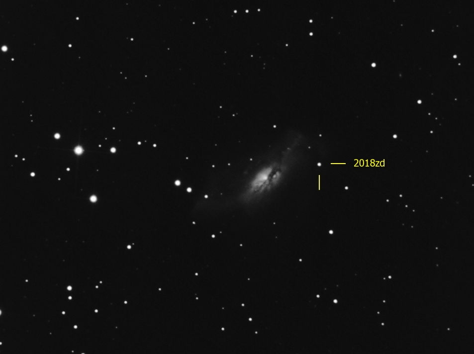 Supernovae 2018zd in NGC 2146.jpg
