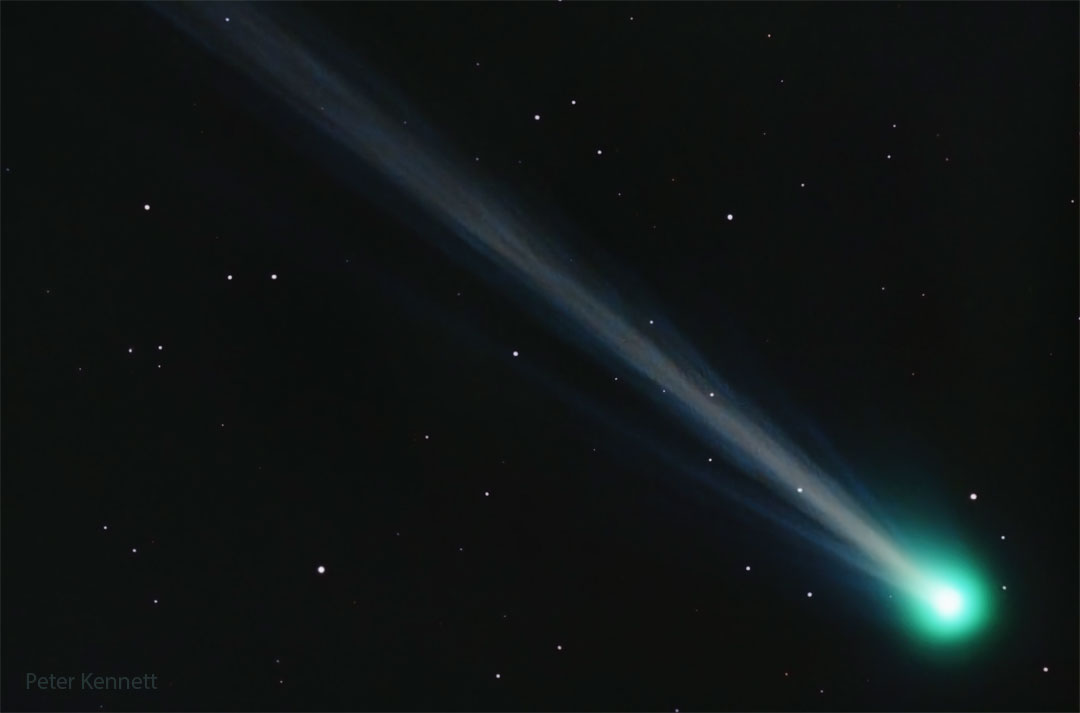 Kometa Nishimura  3.jpg