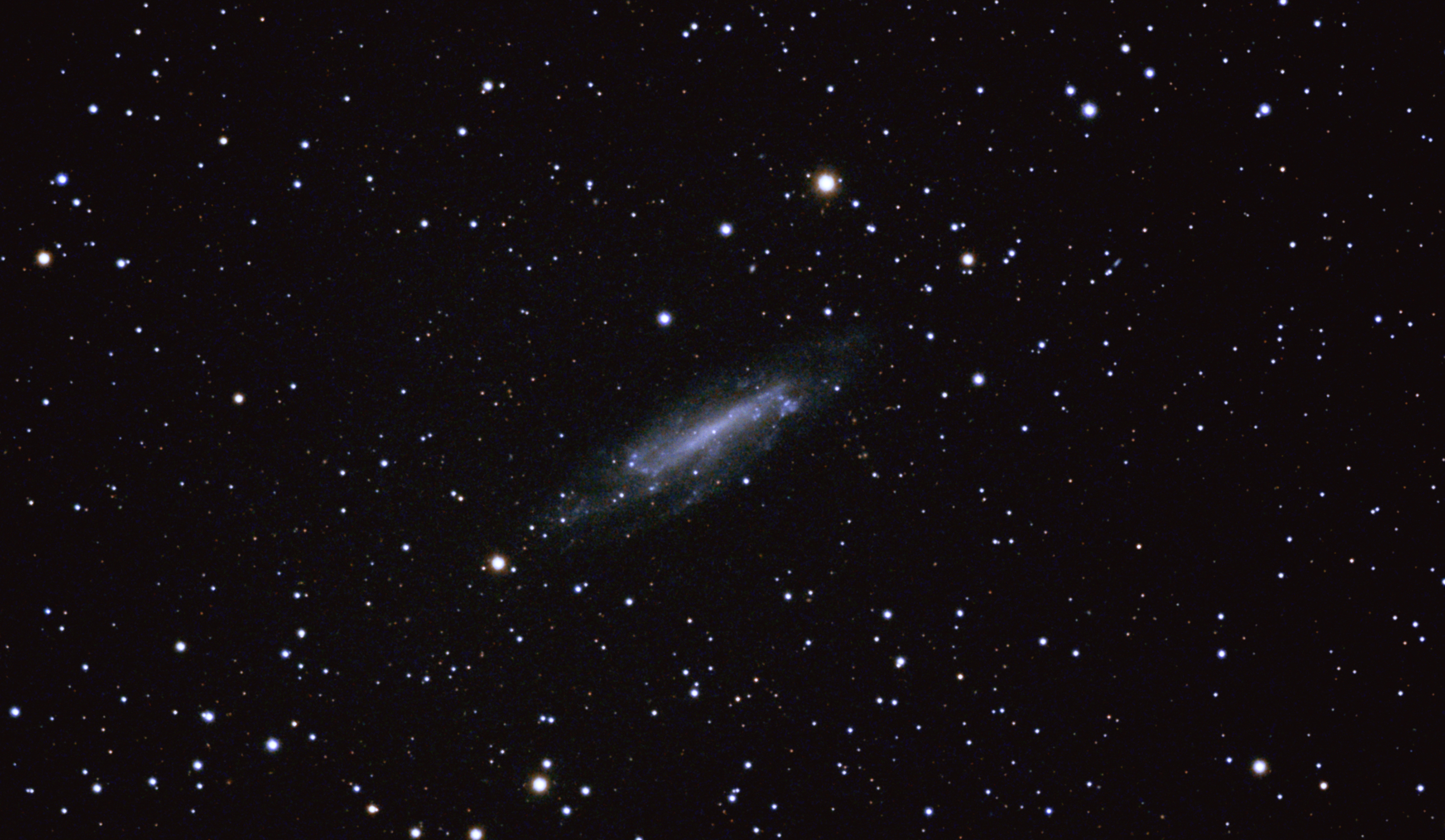 NGC4236_2024-03-13_70 min_DSS.jpg