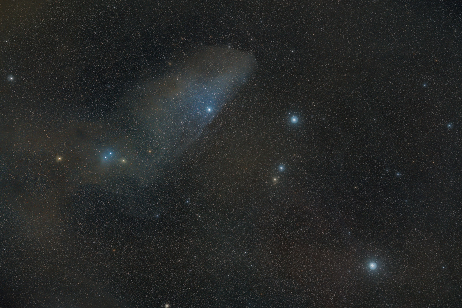Hlava IC 4592_1.jpg