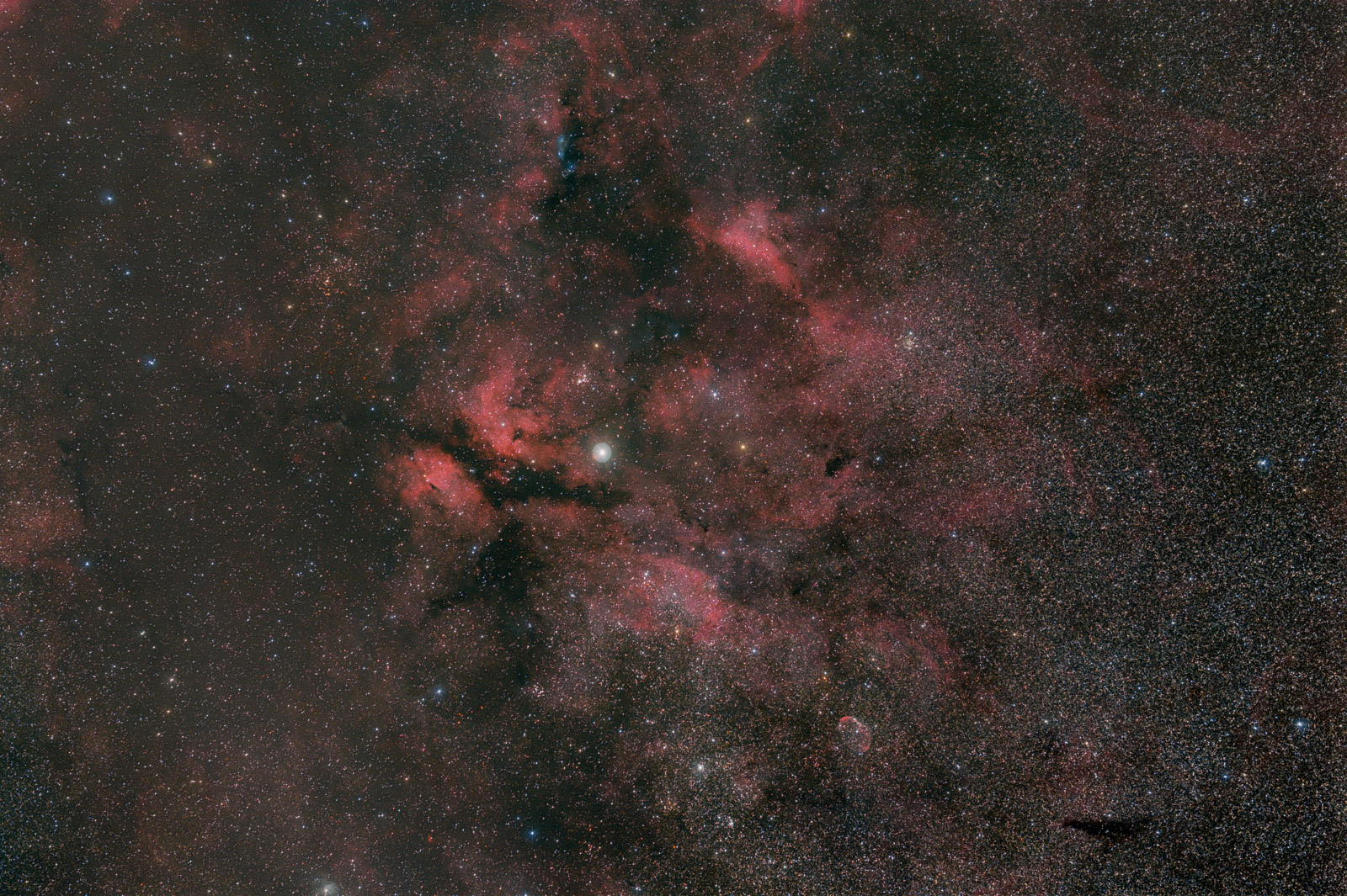 Cygnus region-2.jpg