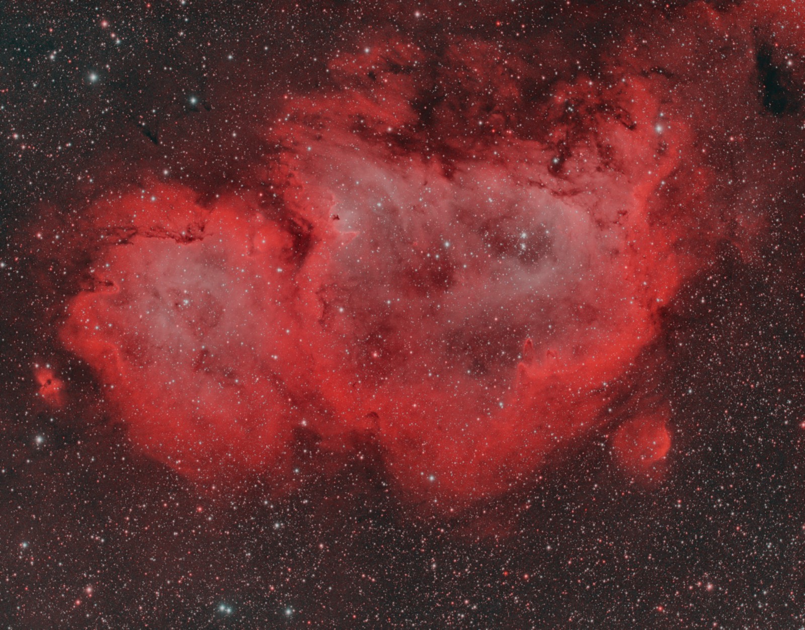 IC1848_RGB_mala2.jpg