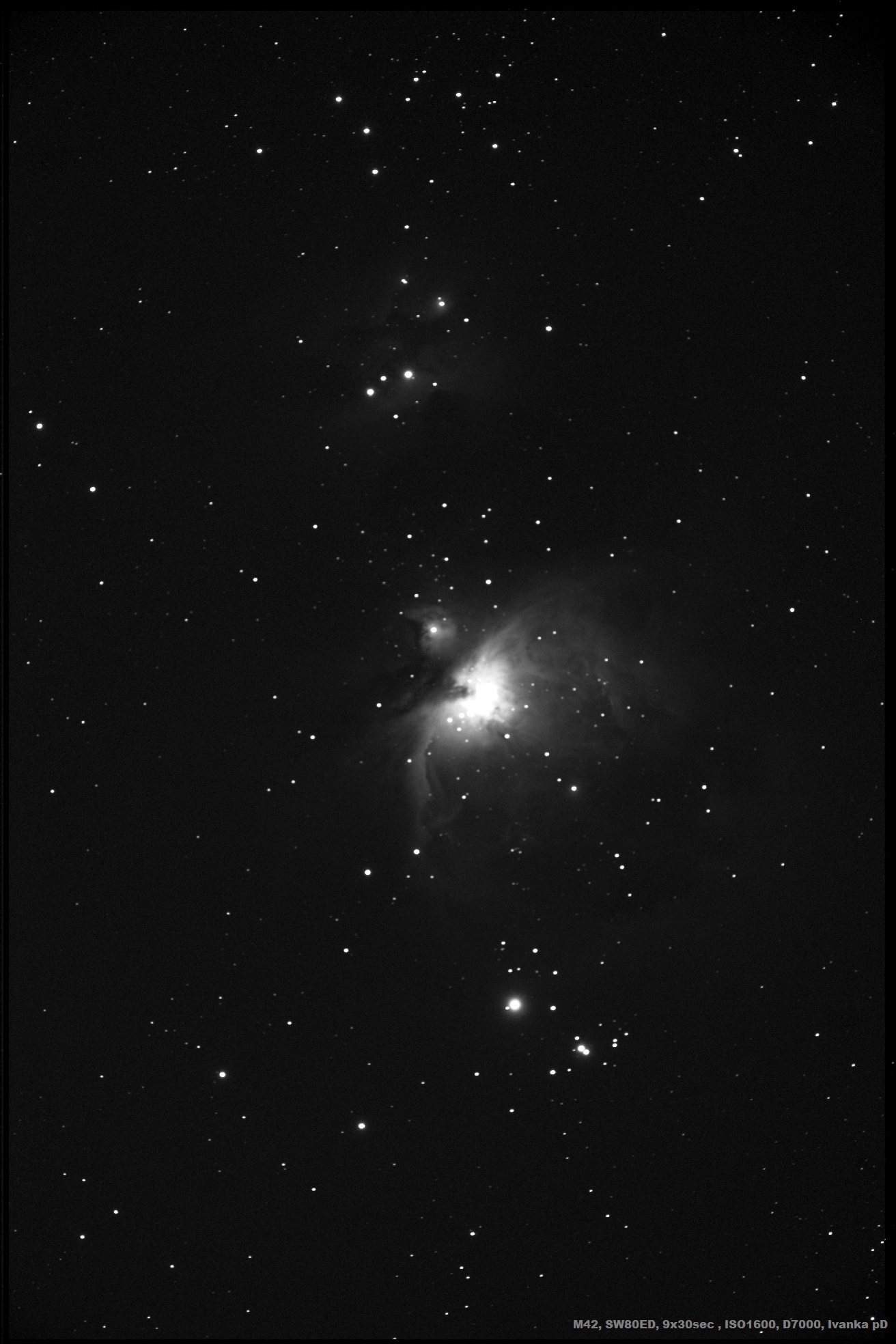 m42_2small.jpg