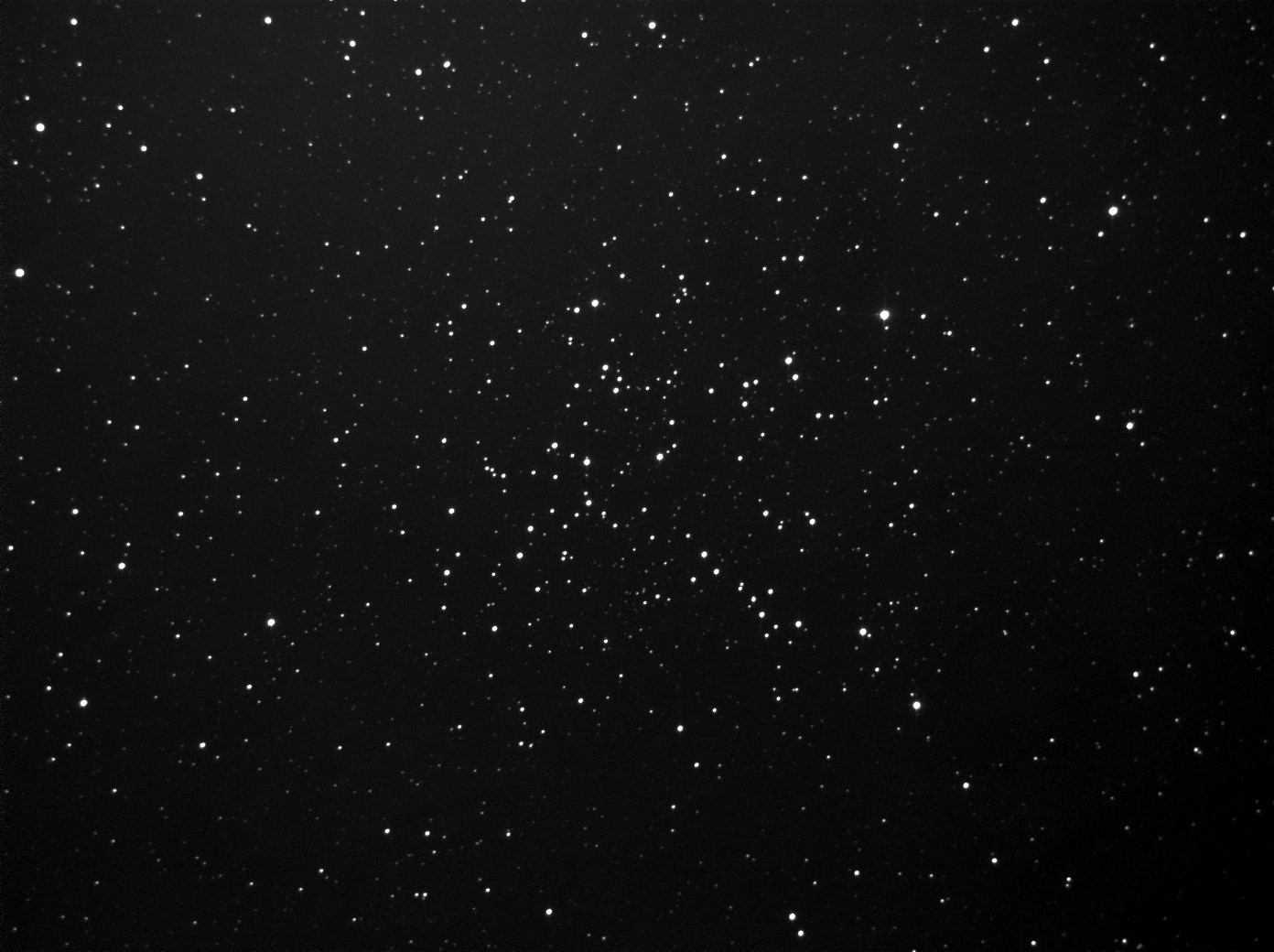 Starfish cluster_M38_10x20s.jpg