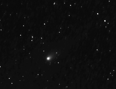 C2018 Y1 Iwamoto ma kometu a hvezdy_cr.jpg