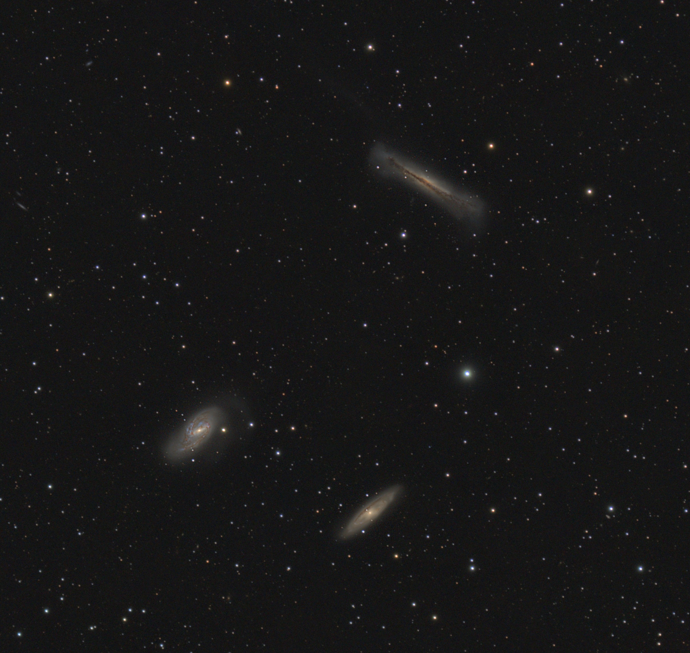 Leo Triplet Pixi.jpg