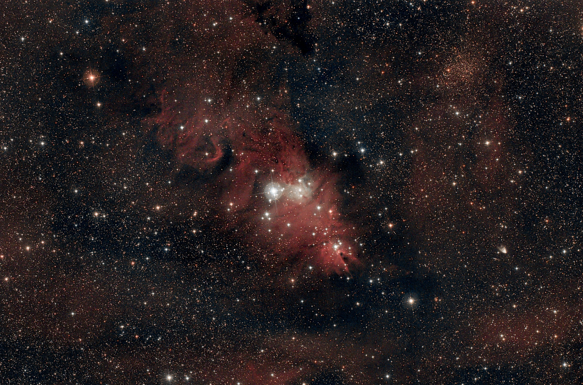 NGC 2264.jpg