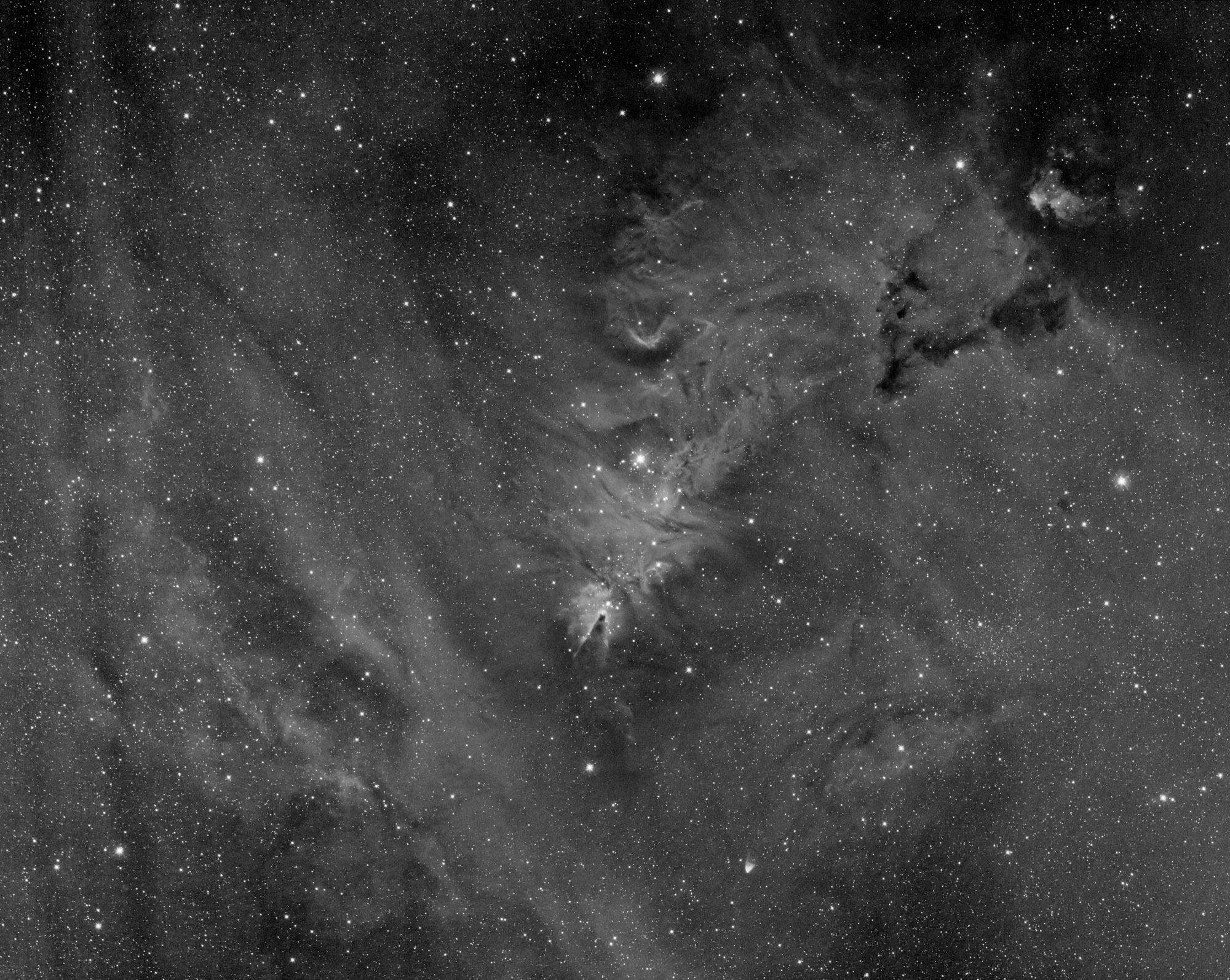 NGC 2264BW.jpg