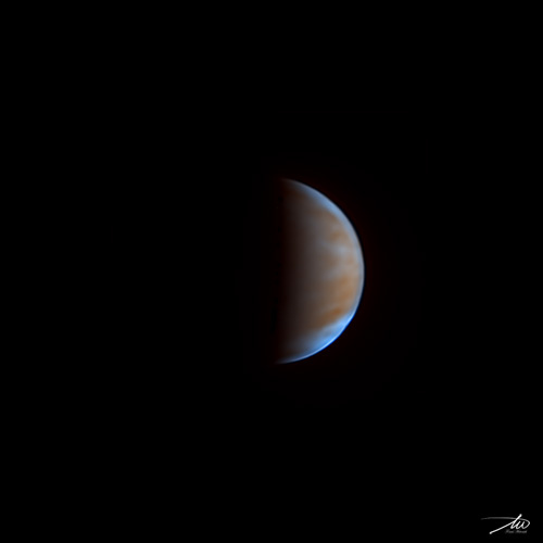 Venus_final_1_4_2020.jpg