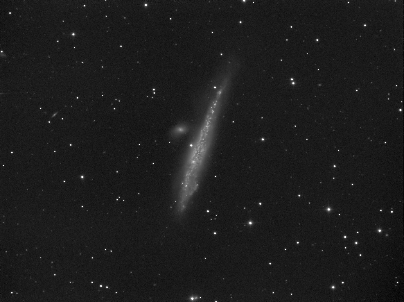 NGC 4631_CLS_1.jpg