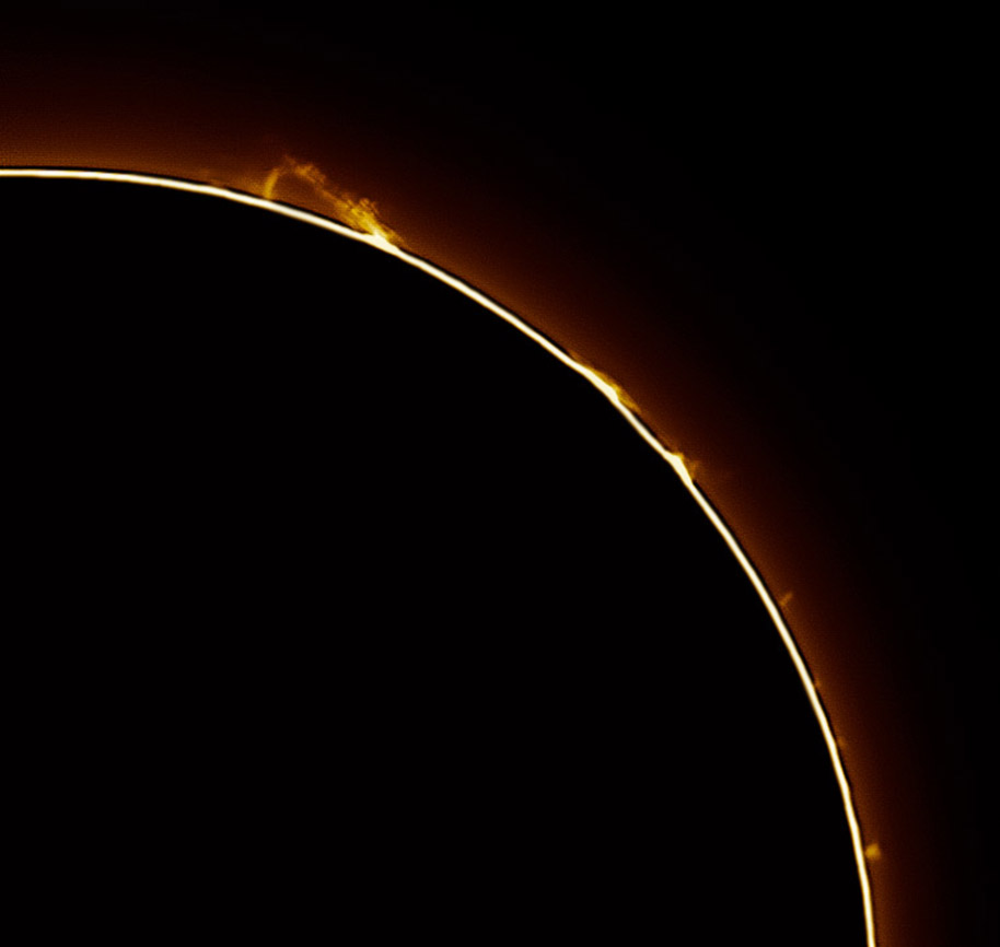 Sun_1_6_2017_proms.jpg