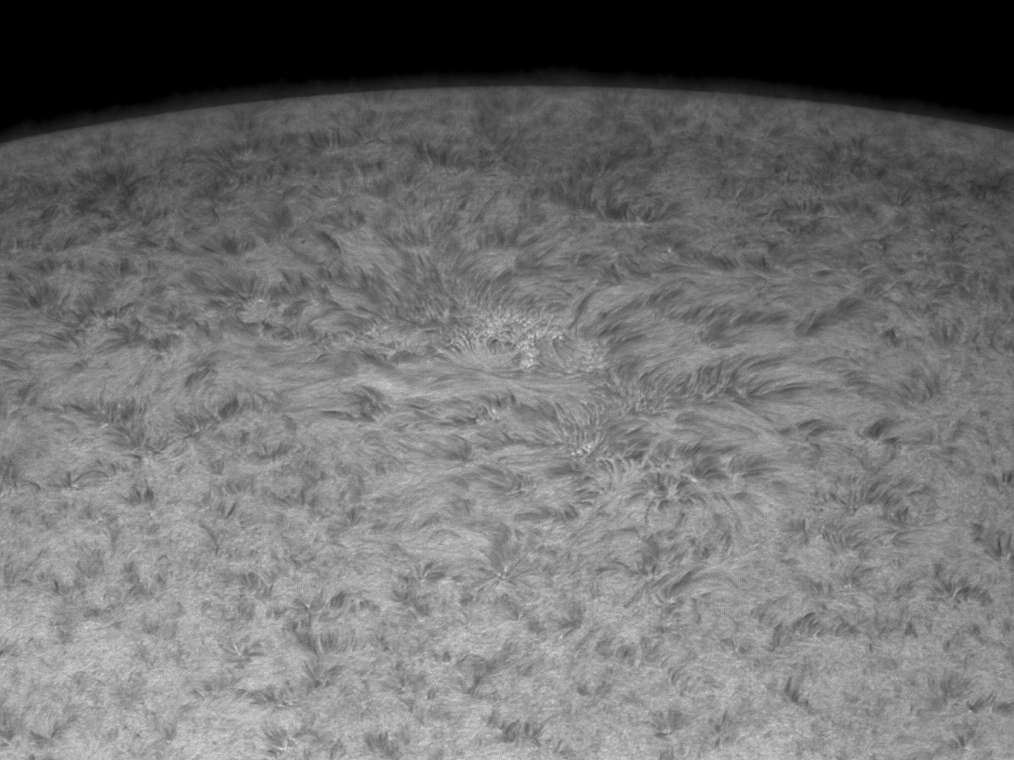 2020-05-19T07_29_04-Sun-ZWO ASI183MM.jpg