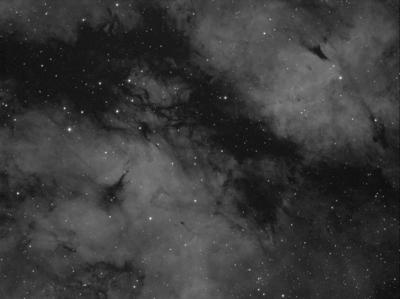 IC 1318_Gamma cygni nebula_HA_300s.jpg