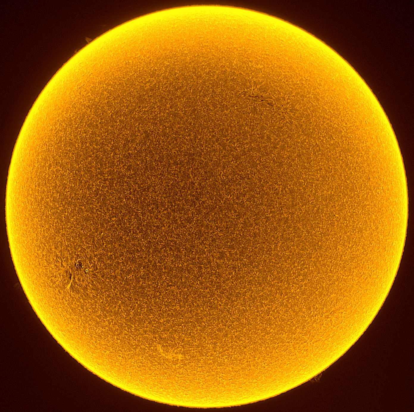 2020-06-06-1523_6-L_l5_ap376.jpg