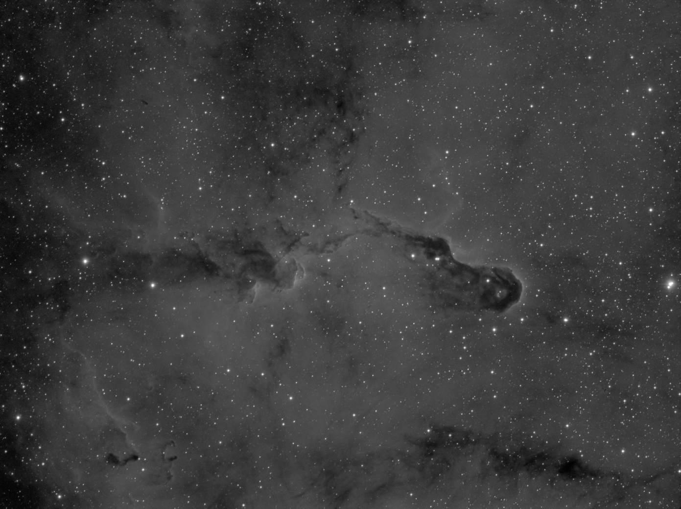 IC 1396_Elephant trunk nebula_Ha-600s_1.jpg