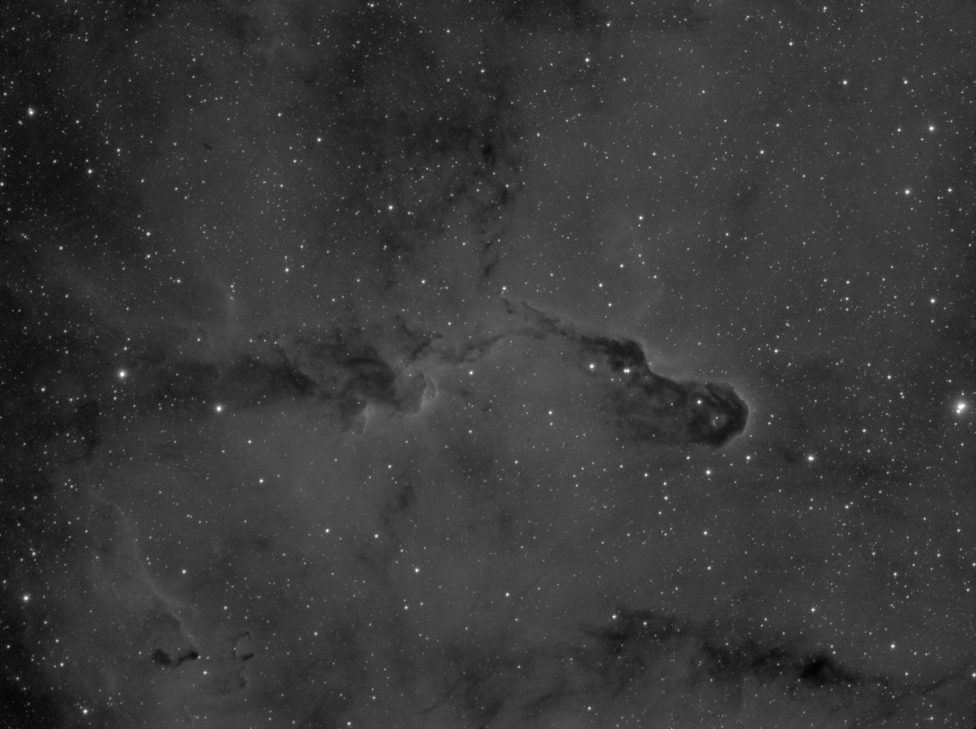 IC 1396_Elephant trunk nebula_Ha-600s.jpg