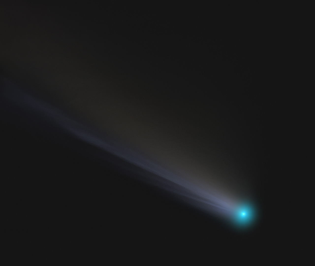 neowise-head.jpg
