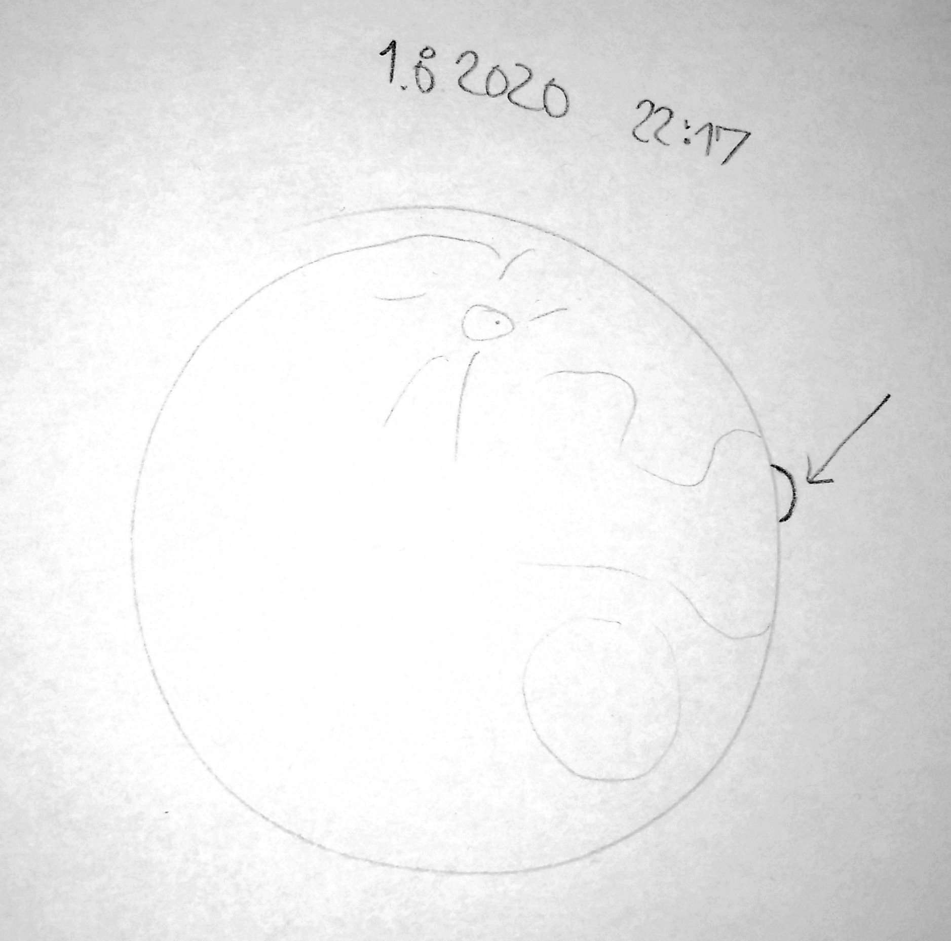 1stMoon01_08_2020.jpg