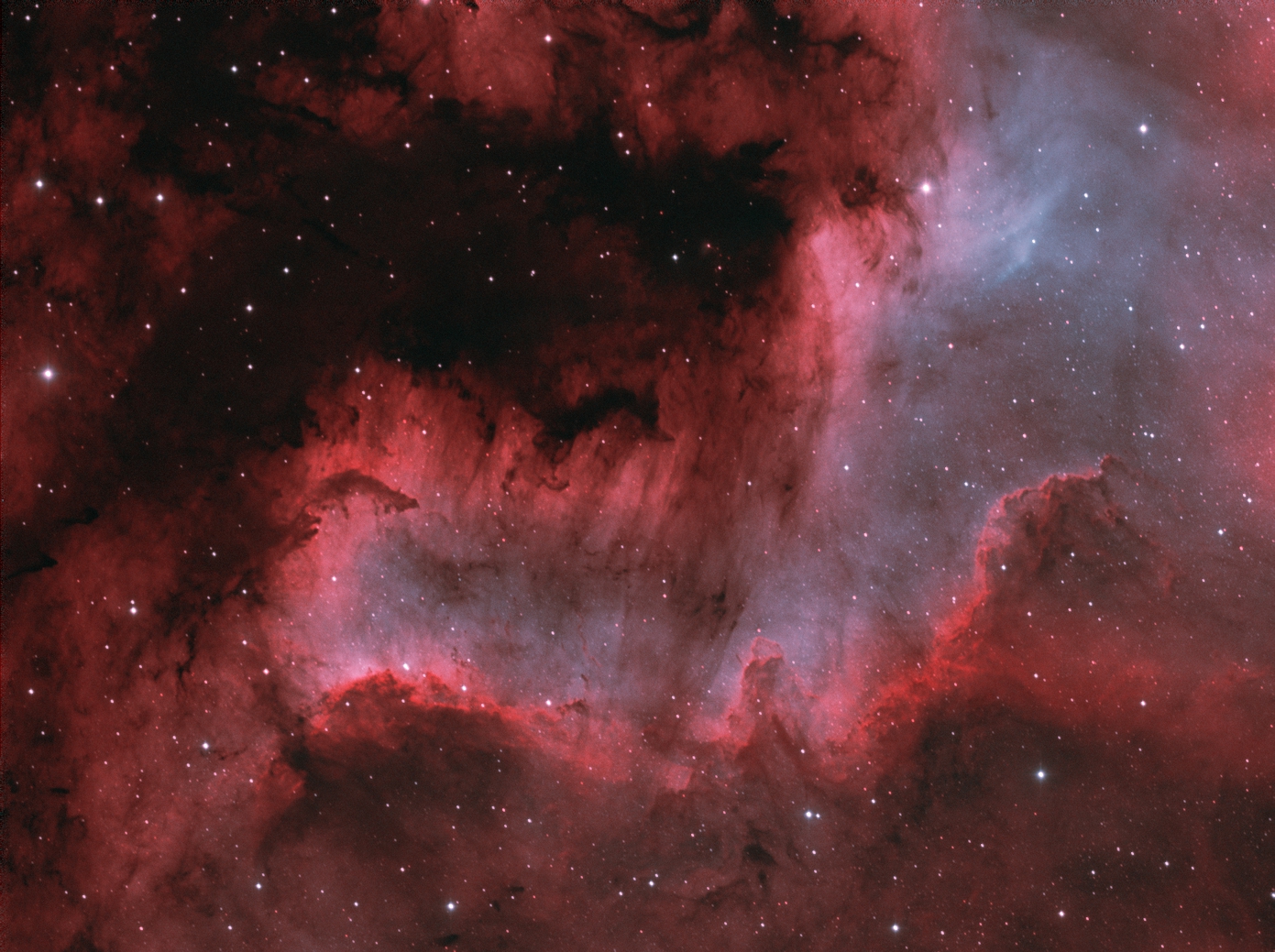 NGC 7000_Cygnus wall_bicolor_4.jpg
