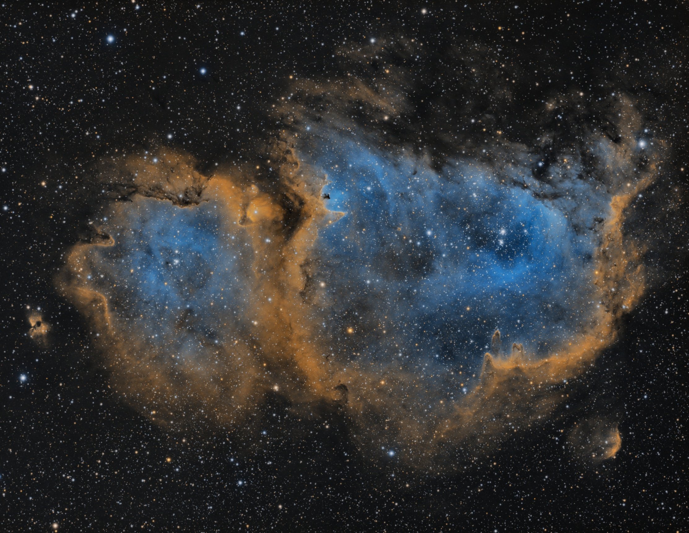 IC 1848 v1orez50 af.jpg