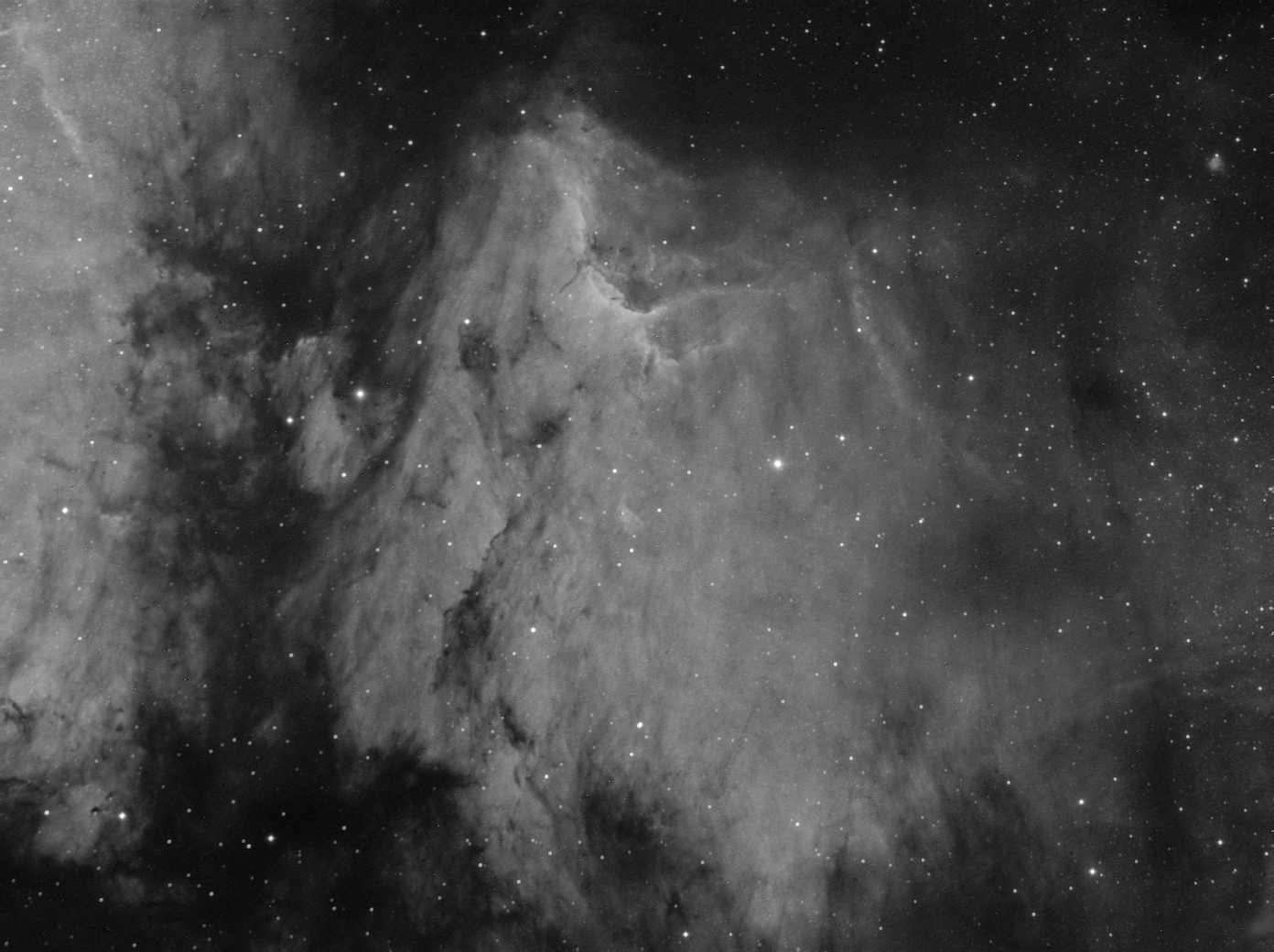 IC 5070_Pelican nebula_Ha.jpg