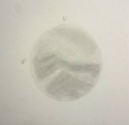 Mars19.jpg