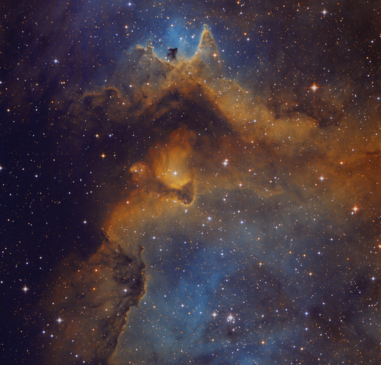 IC1871-range-af.jpg