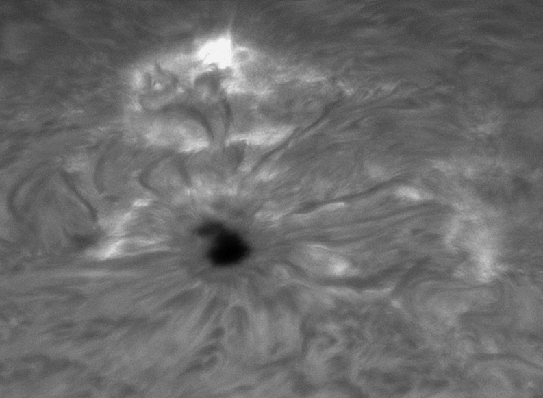 Flare AR2786, 25.Nov. 2020, Martin Wise , Florida.png