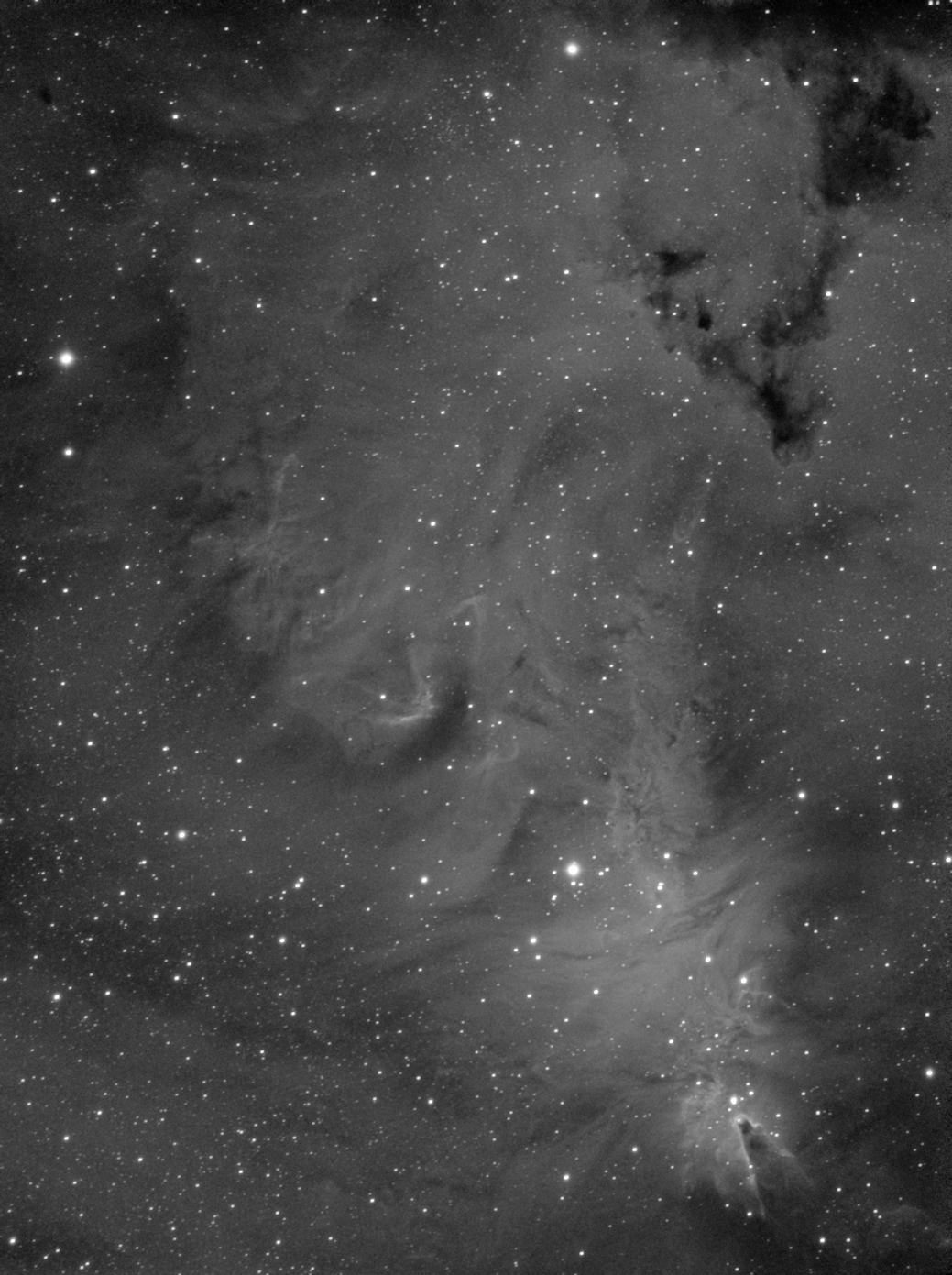NGC 2264_Ha_final_3.jpg