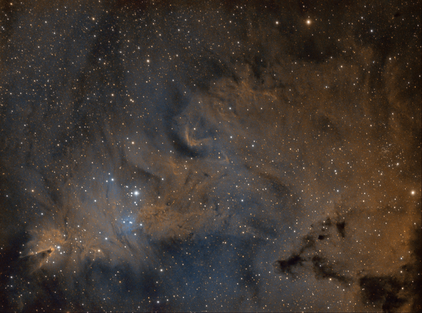 NGC_2264_HST_rotated_1.jpg