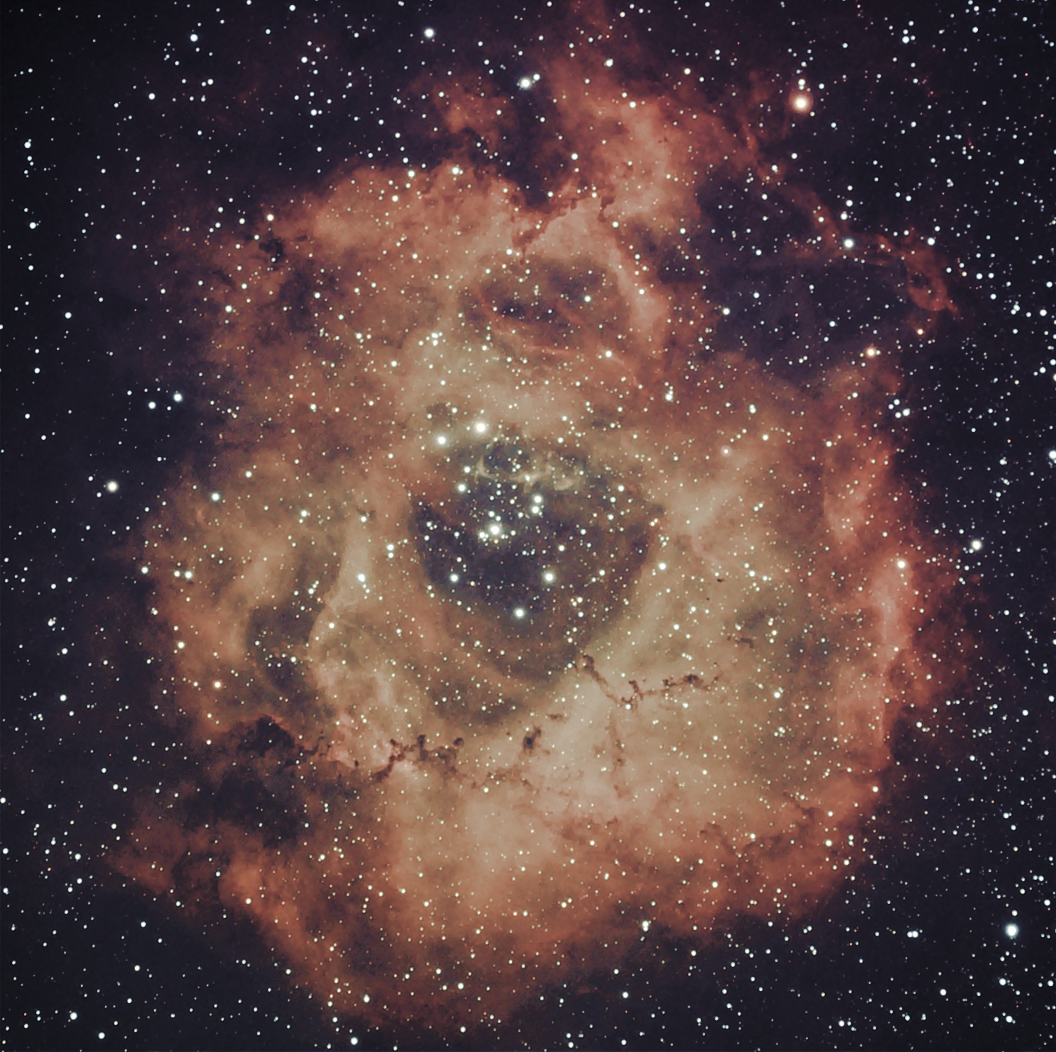 NGC2239_14_X_sm.jpg