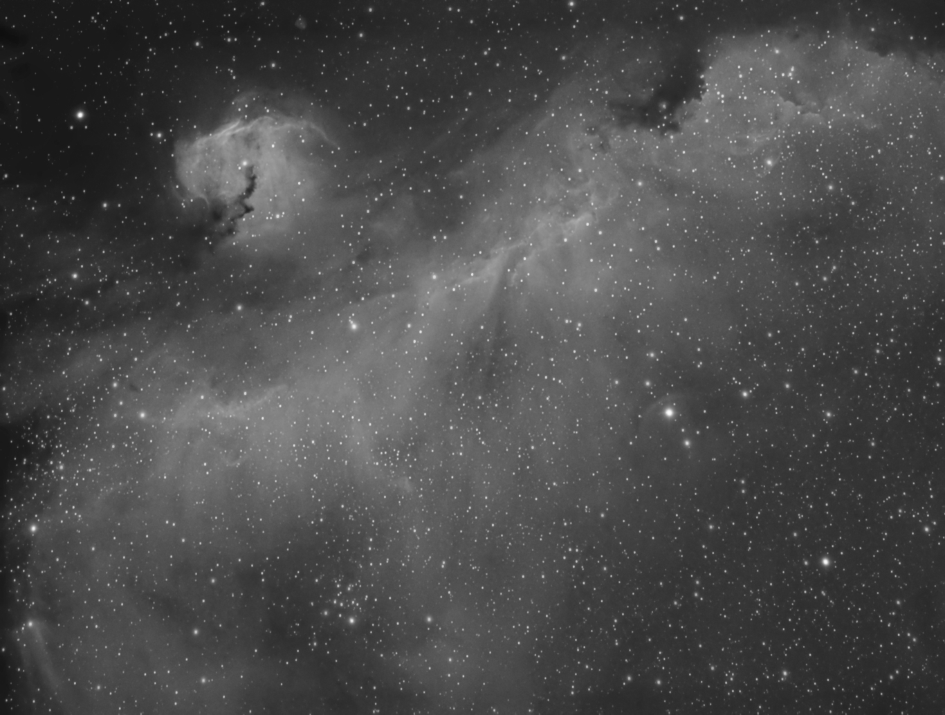 IC2177_seagull nebula_Ha_1.jpg